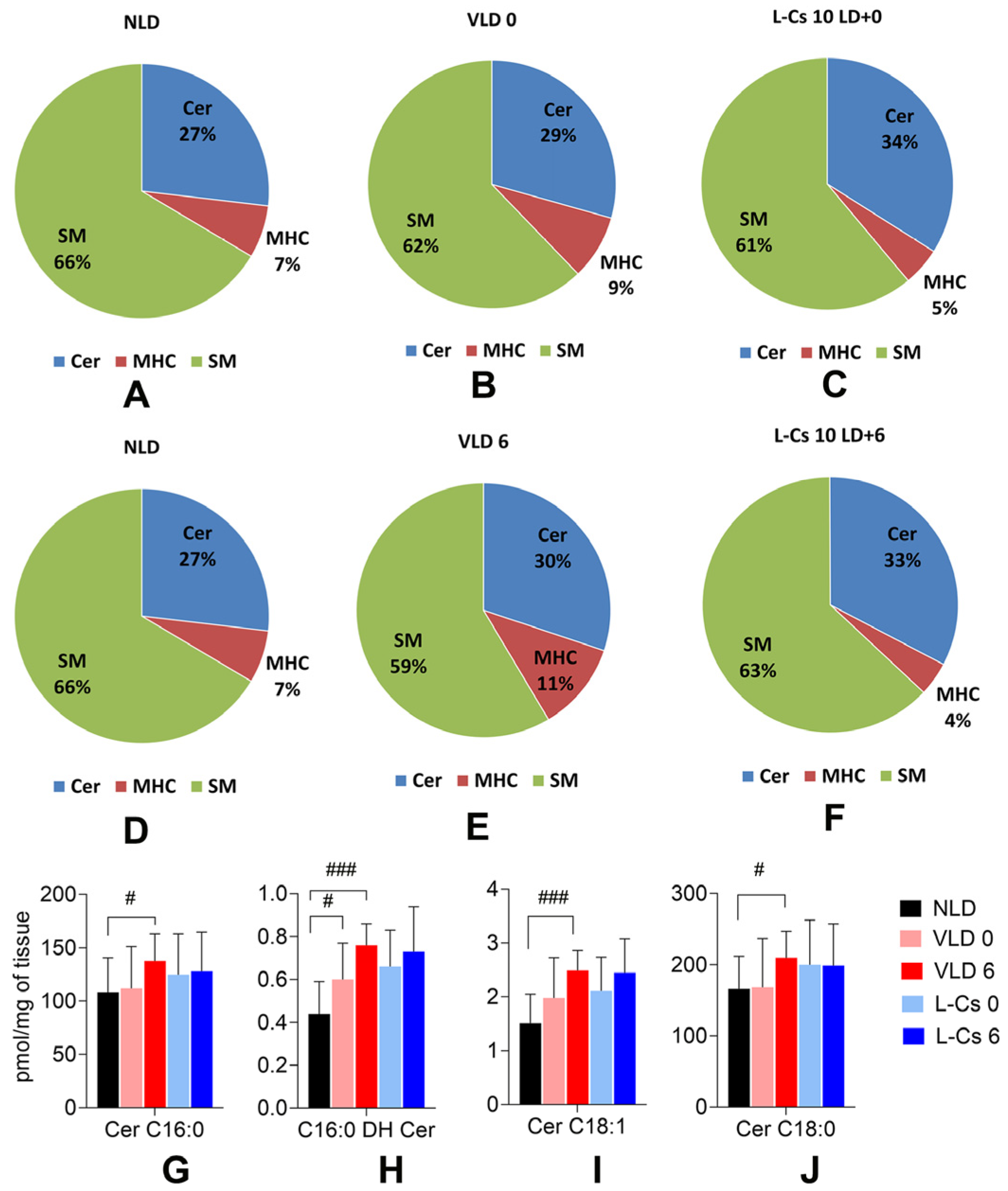Ijms 25 13389 g005 Ijms 25 13389 g005