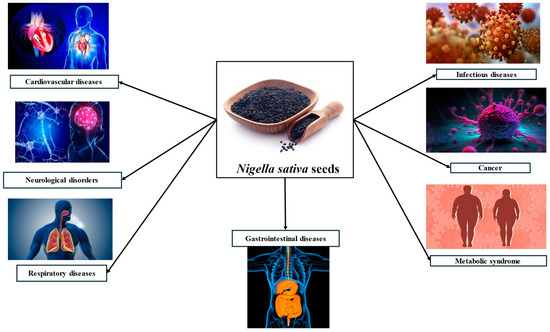 Nigella sativa: A Comprehensive Review of Its Therapeutic