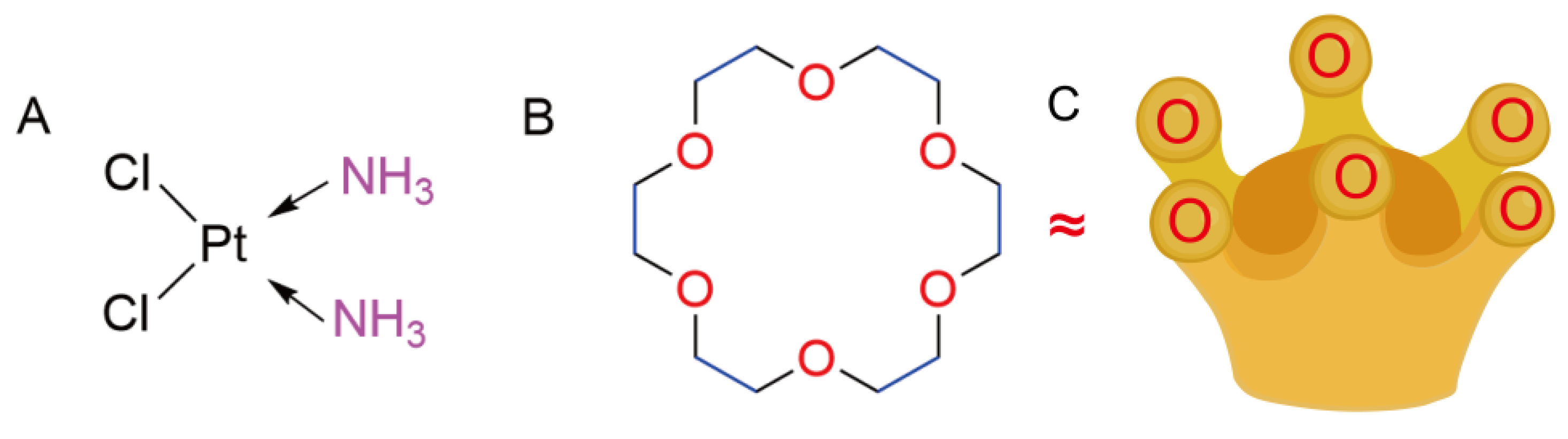 Ijms 25 13411 g001 Ijms 25 13411 g001