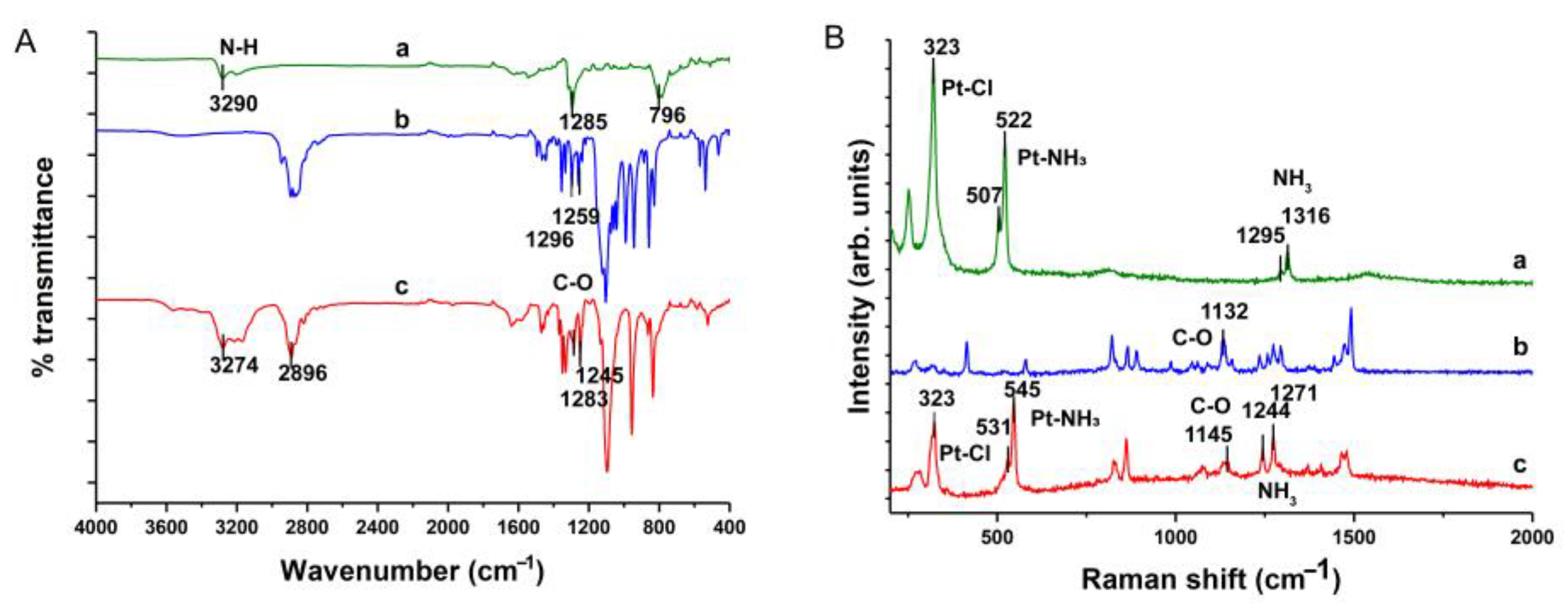 Ijms 25 13411 g004 Ijms 25 13411 g004