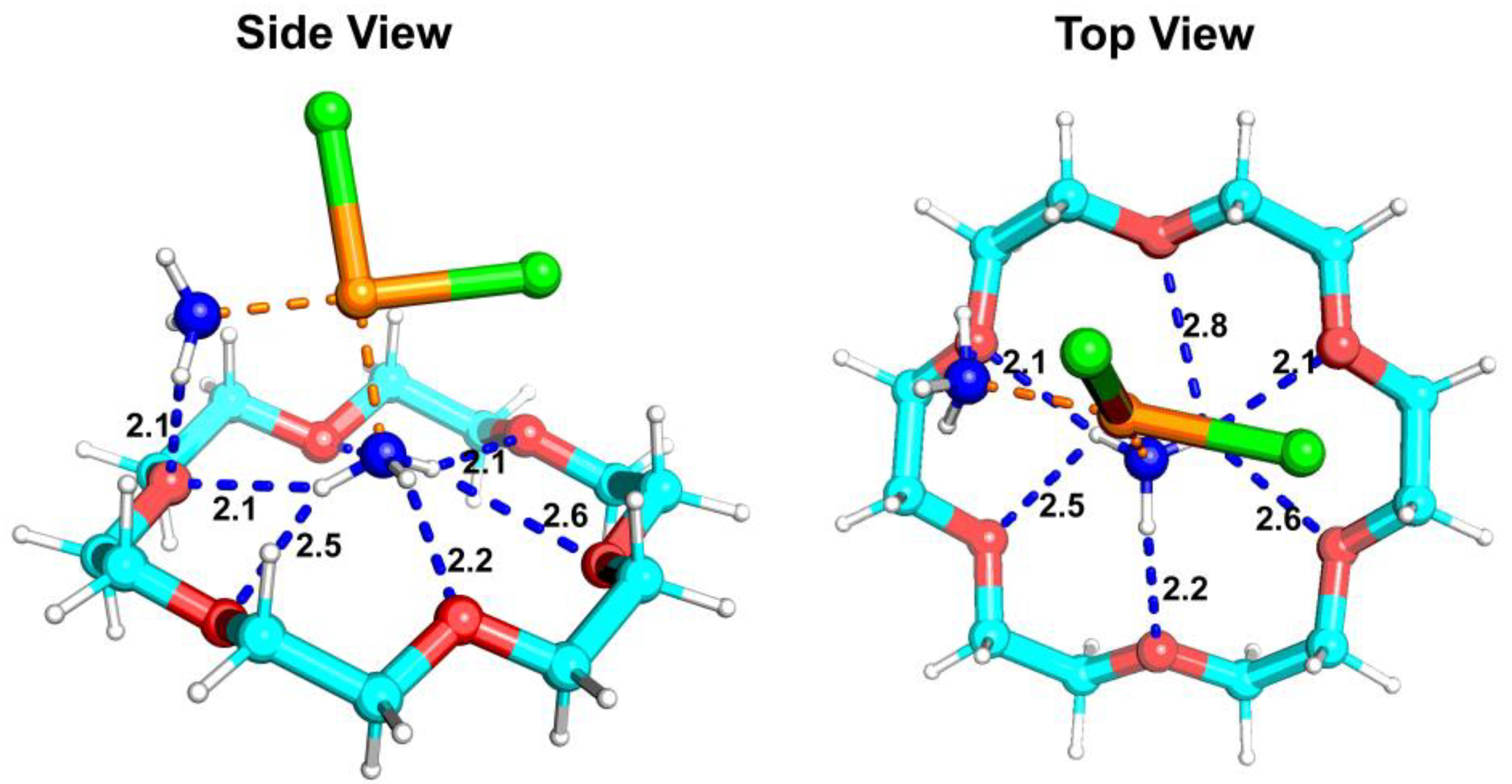 Ijms 25 13411 g005 Ijms 25 13411 g005