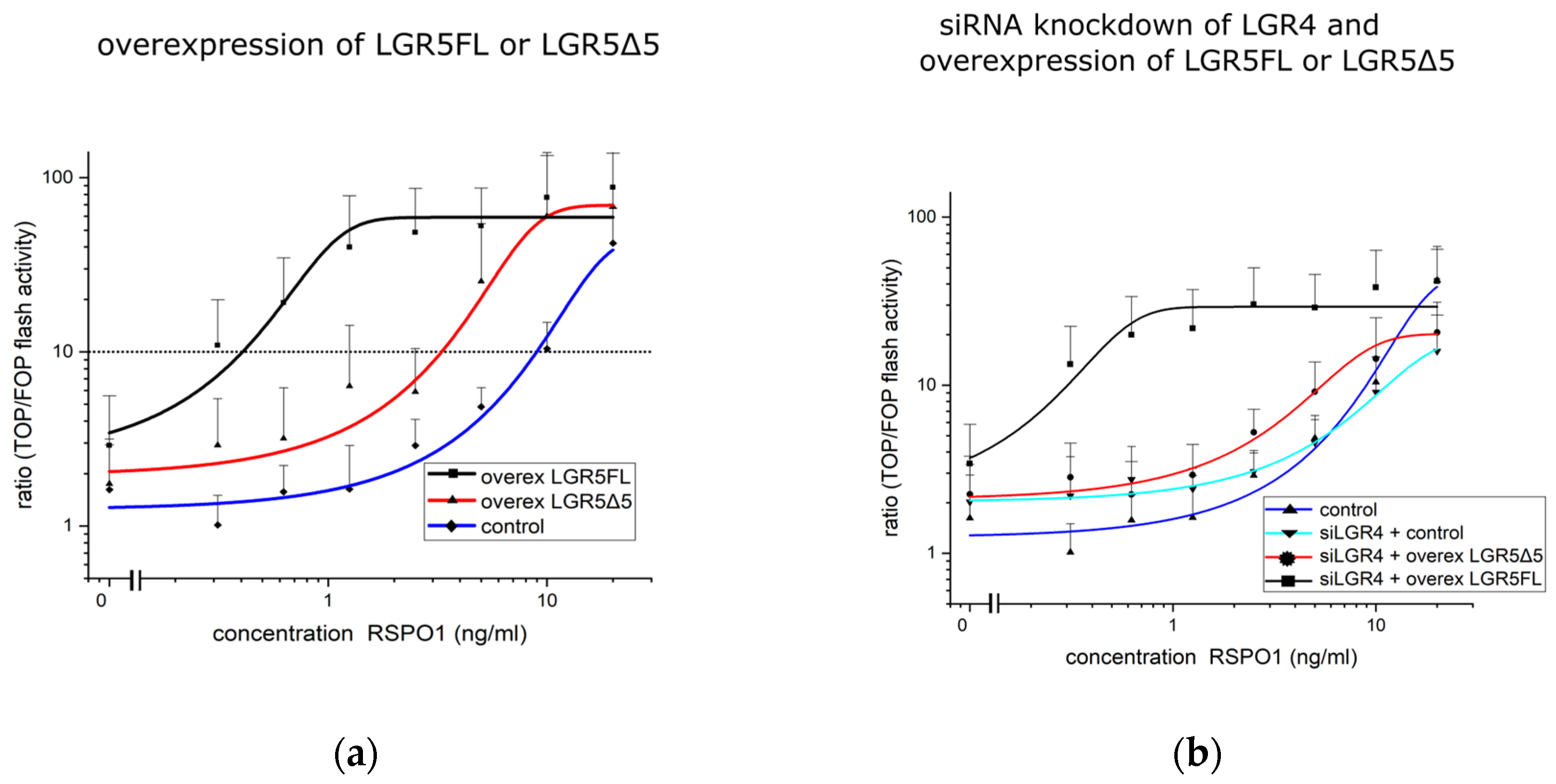 Ijms 25 13417 g003 Ijms 25 13417 g003