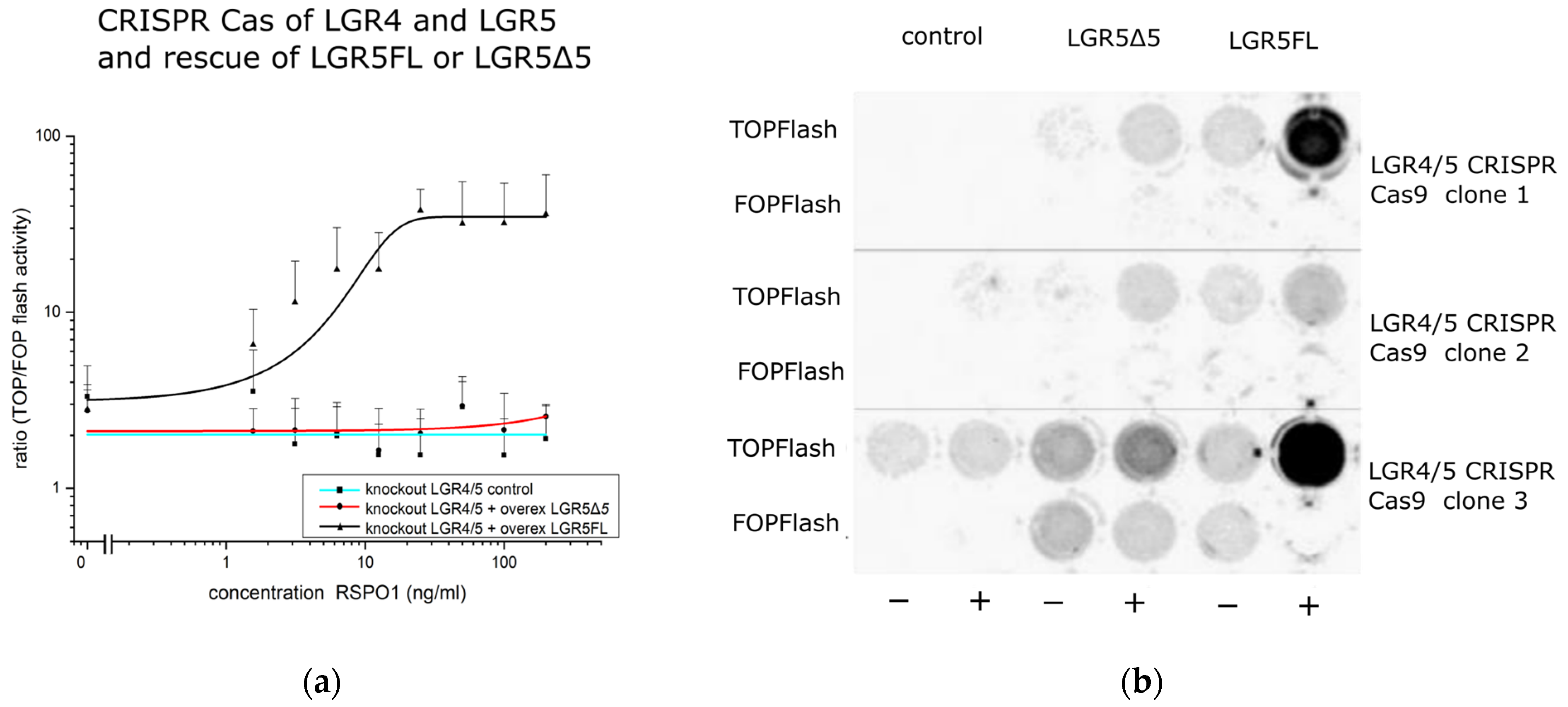 Ijms 25 13417 g005 Ijms 25 13417 g005