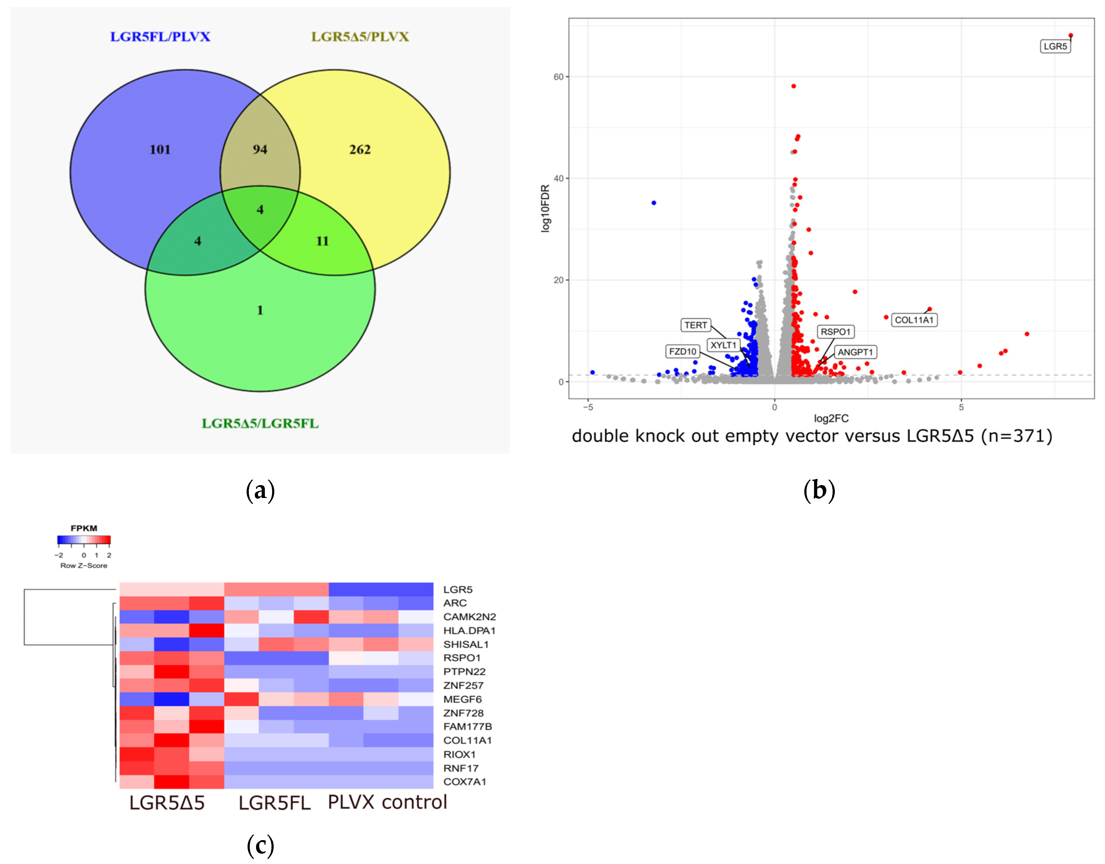Ijms 25 13417 g009 Ijms 25 13417 g009