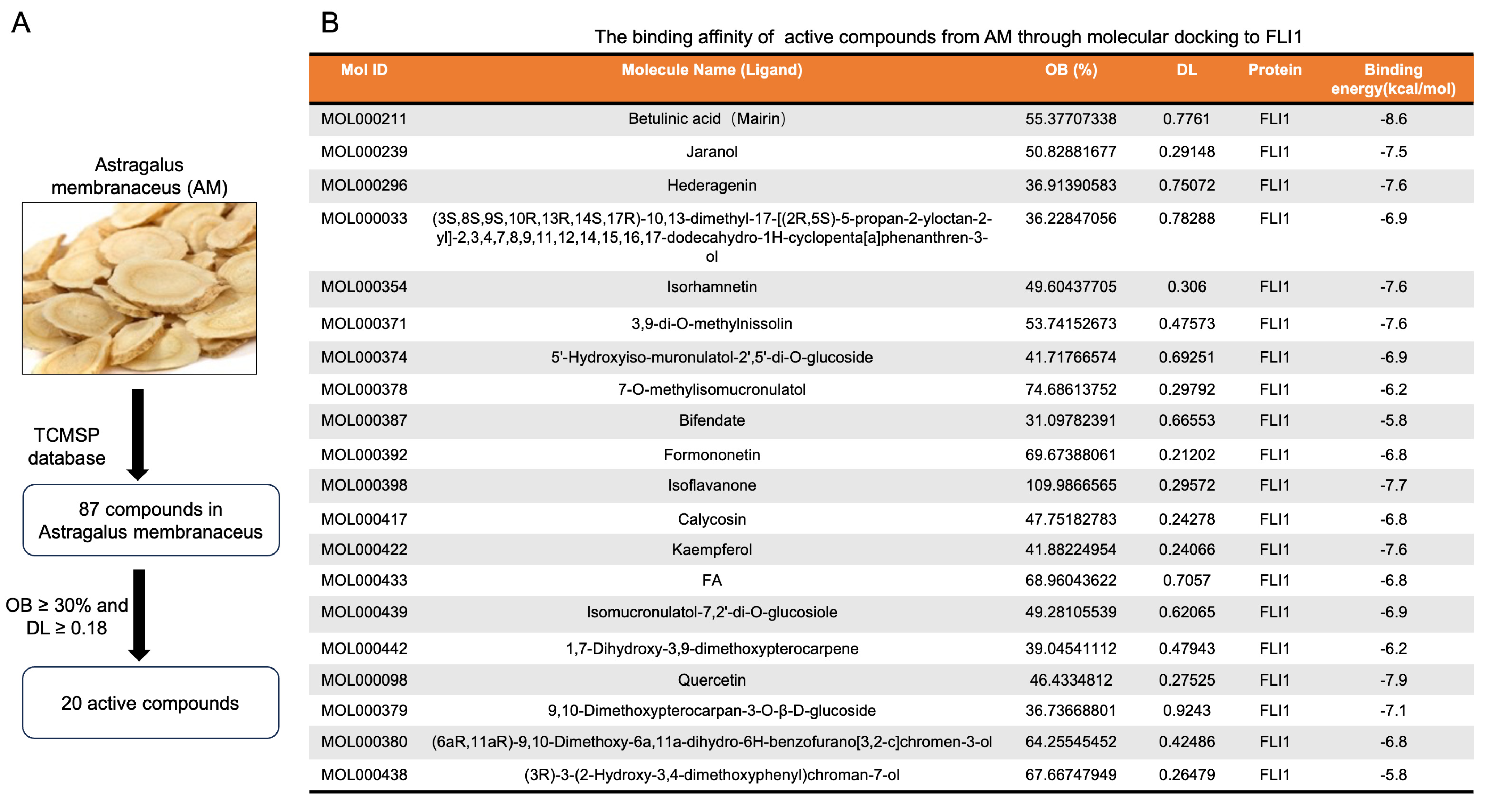 Ijms 25 13426 g003 Ijms 25 13426 g003