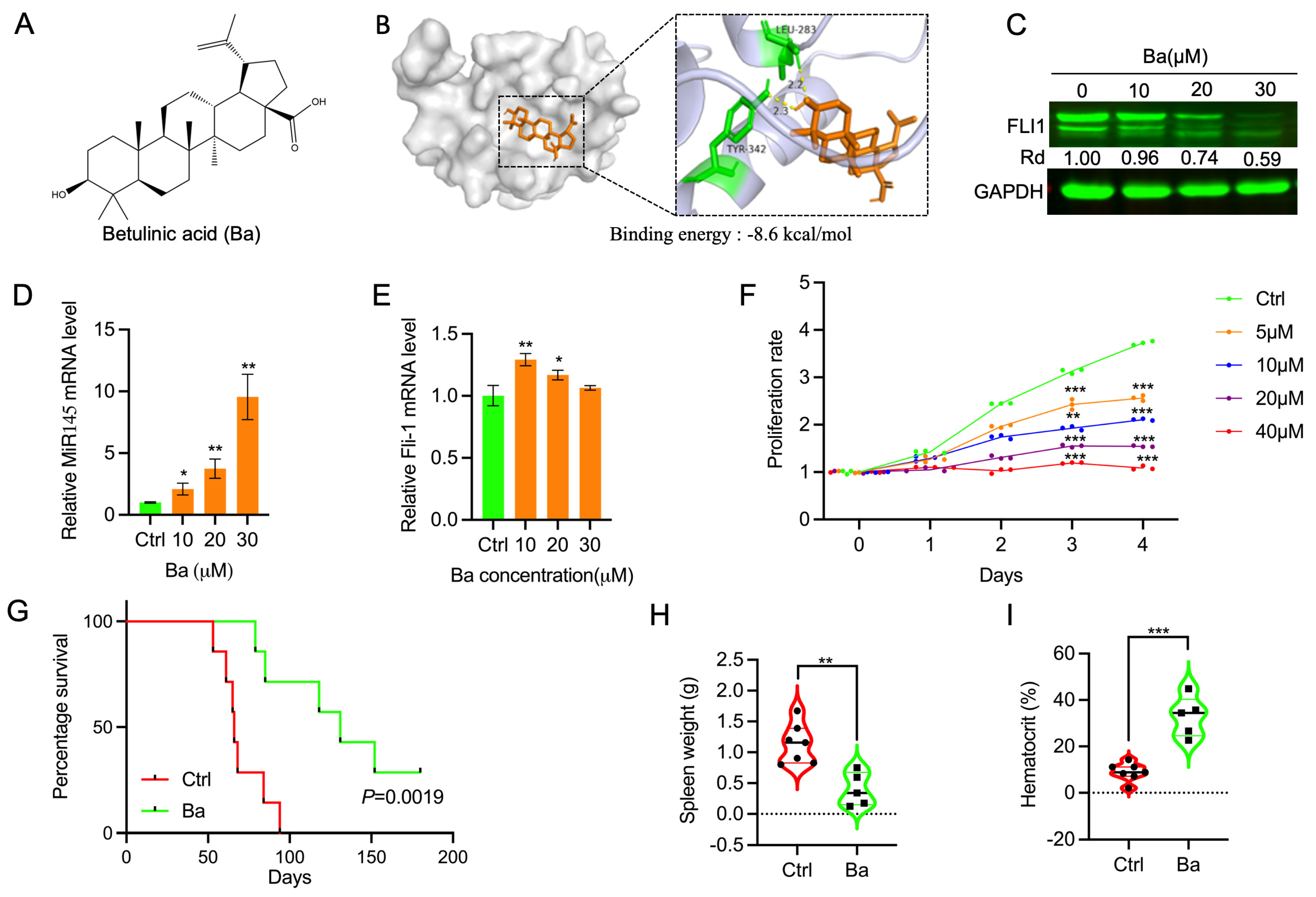 Ijms 25 13426 g004 Ijms 25 13426 g004