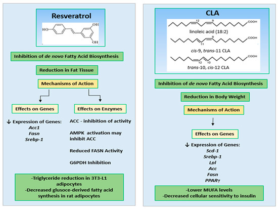 The Combination of Resveratrol and Conjugated Linoleic Acid Dienes ...