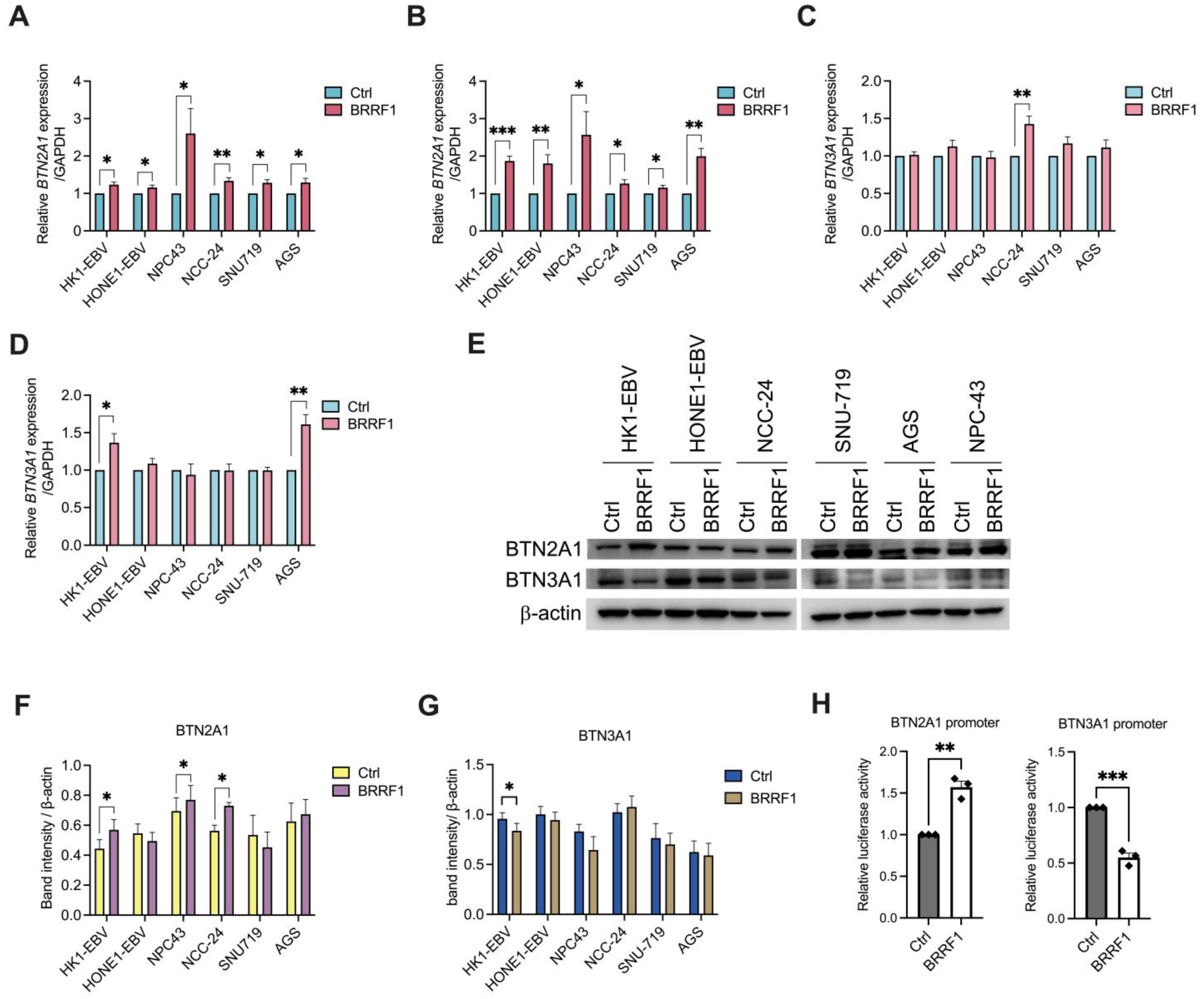 Ijms 25 13452 g001 Ijms 25 13452 g001