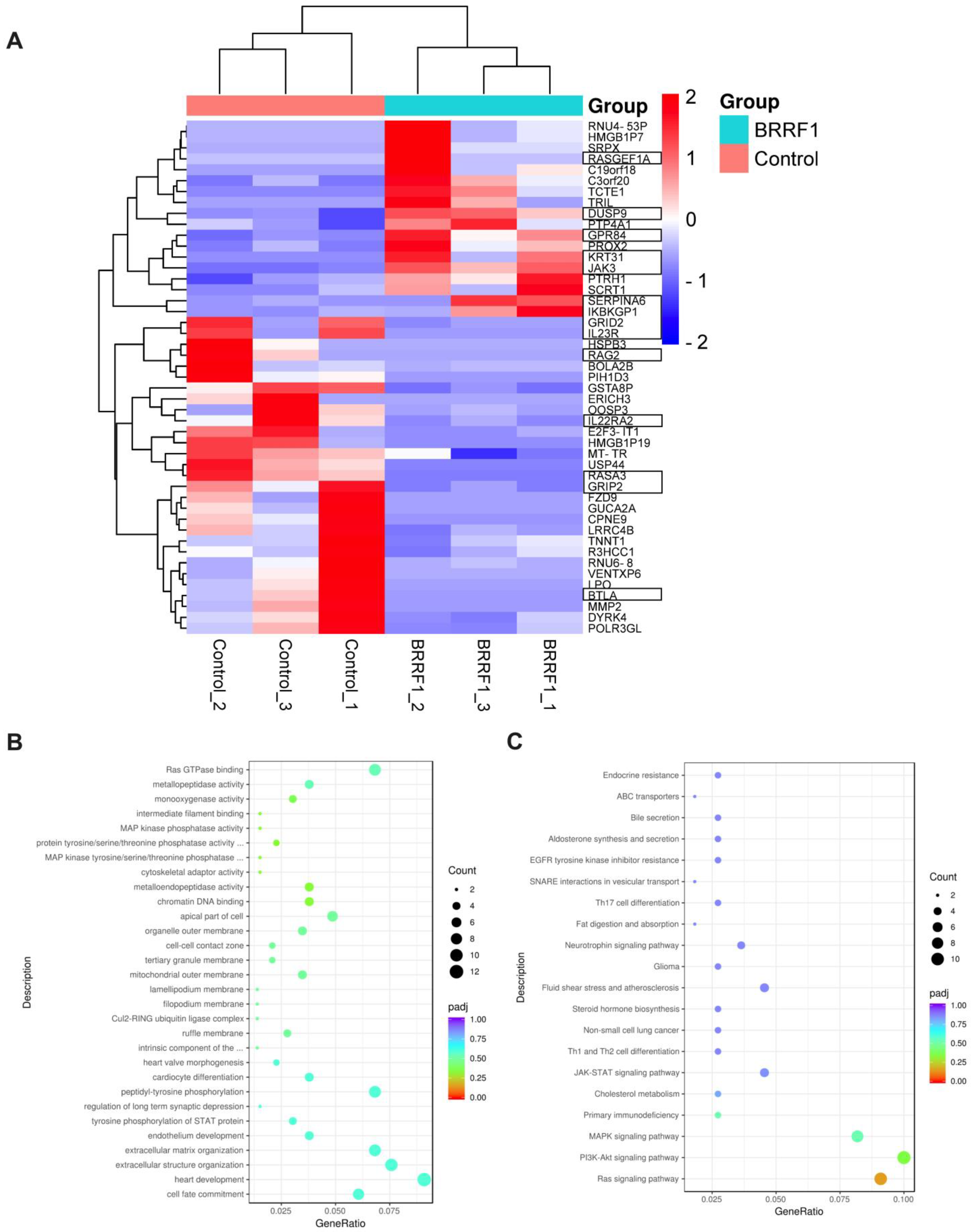 Ijms 25 13452 g002 Ijms 25 13452 g002