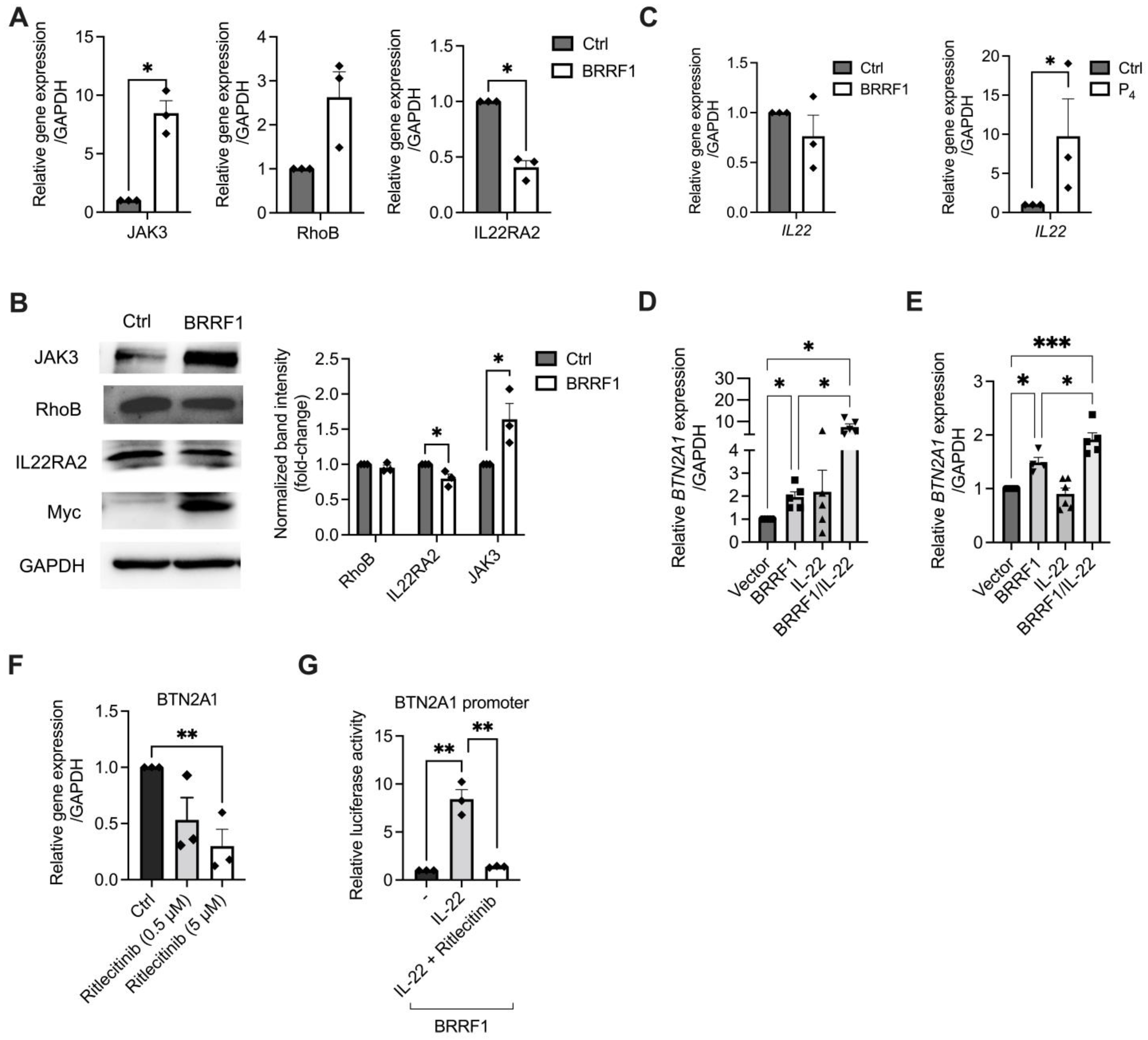 Ijms 25 13452 g003 Ijms 25 13452 g003
