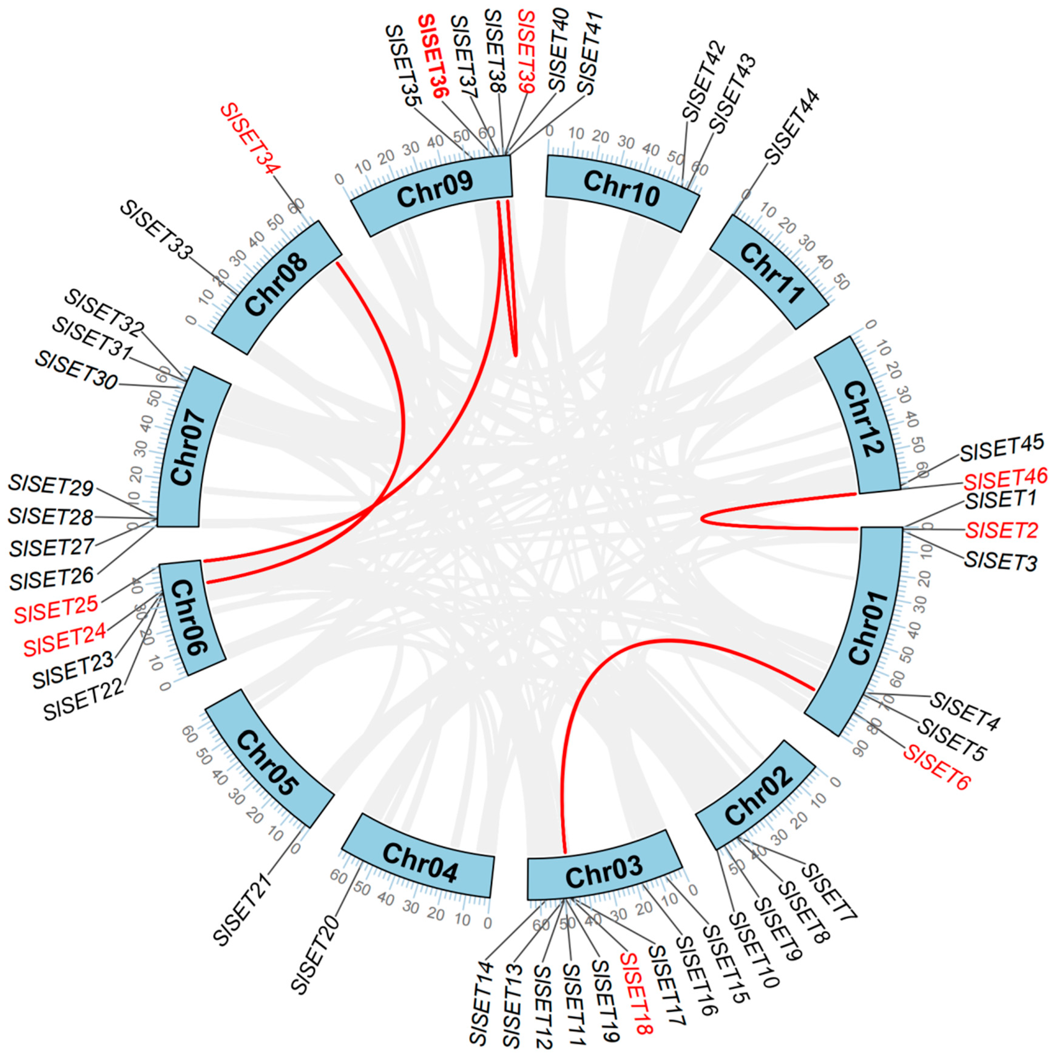 Ijms 25 13461 g004 Ijms 25 13461 g004