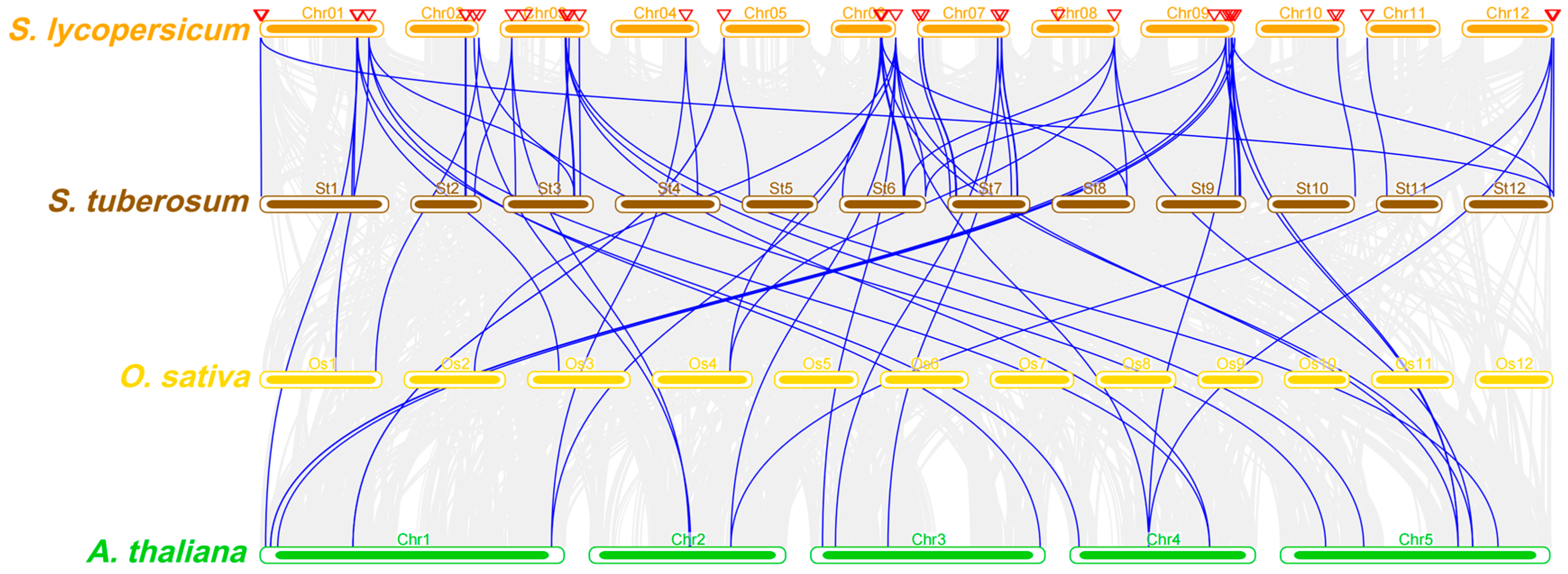 Ijms 25 13461 g005 Ijms 25 13461 g005