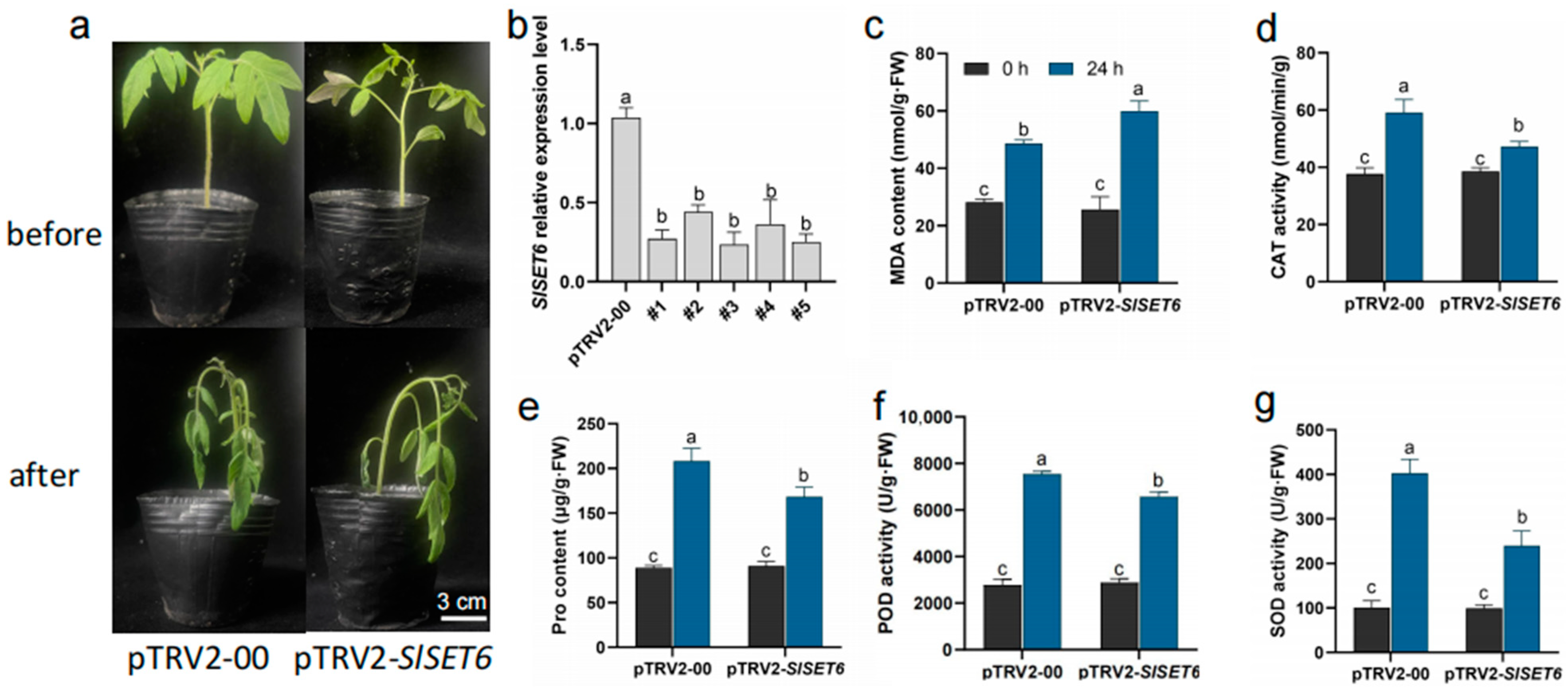 Ijms 25 13461 g008 Ijms 25 13461 g008