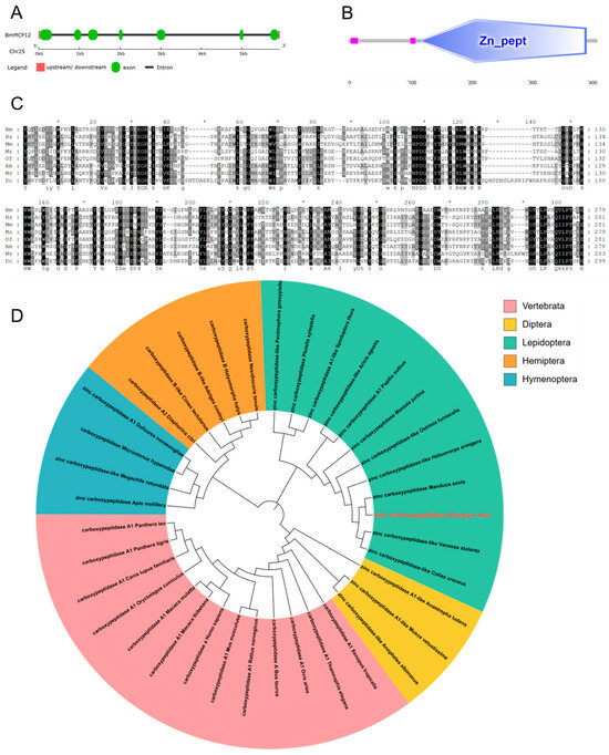 RT様 Can-Am Spyder RT 2023年モデル – 三輪ツーリングバイクモデル