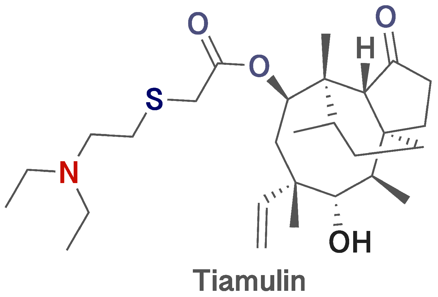 Ijms 25 13542 g001 Ijms 25 13542 g001