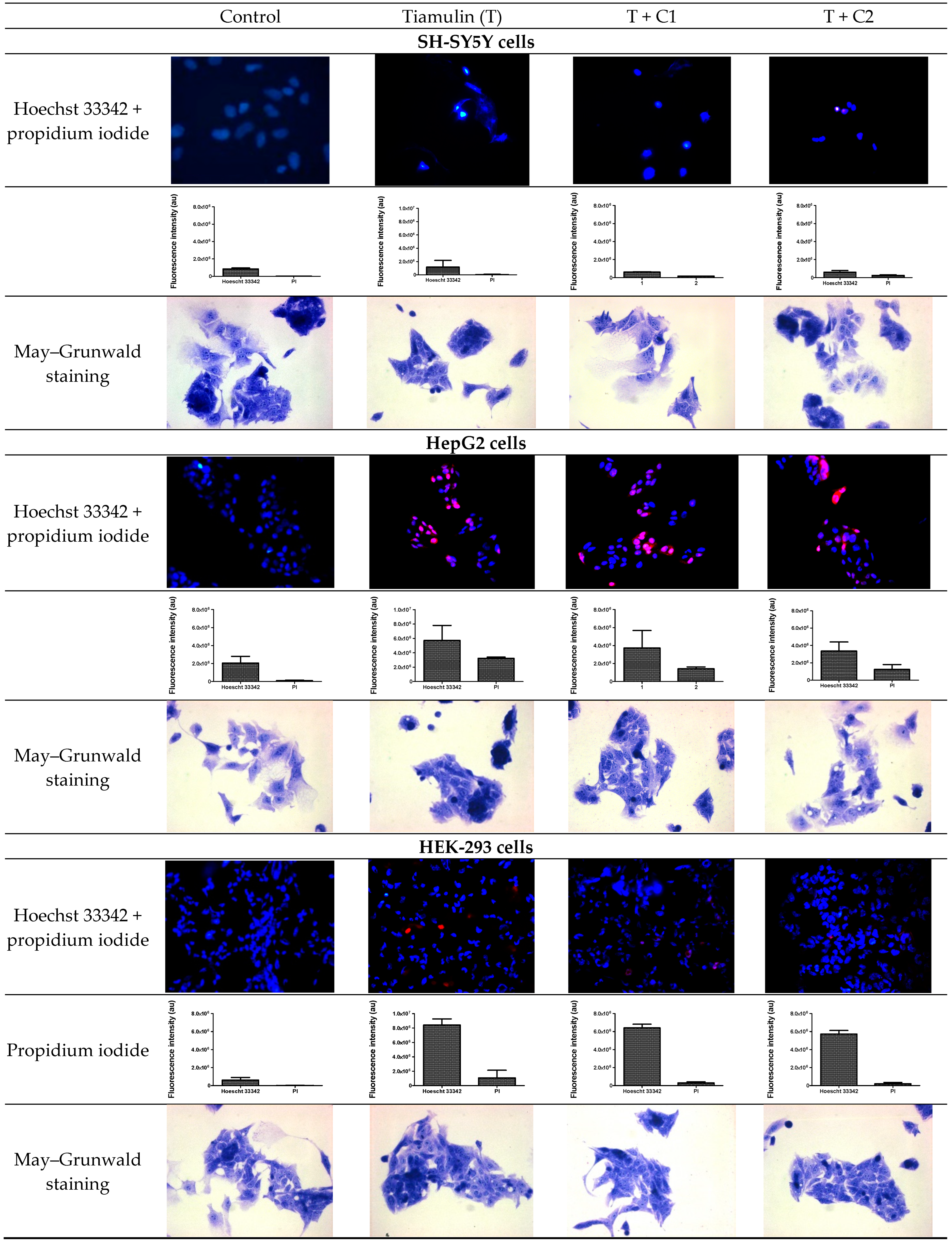 Ijms 25 13542 g006 Ijms 25 13542 g006