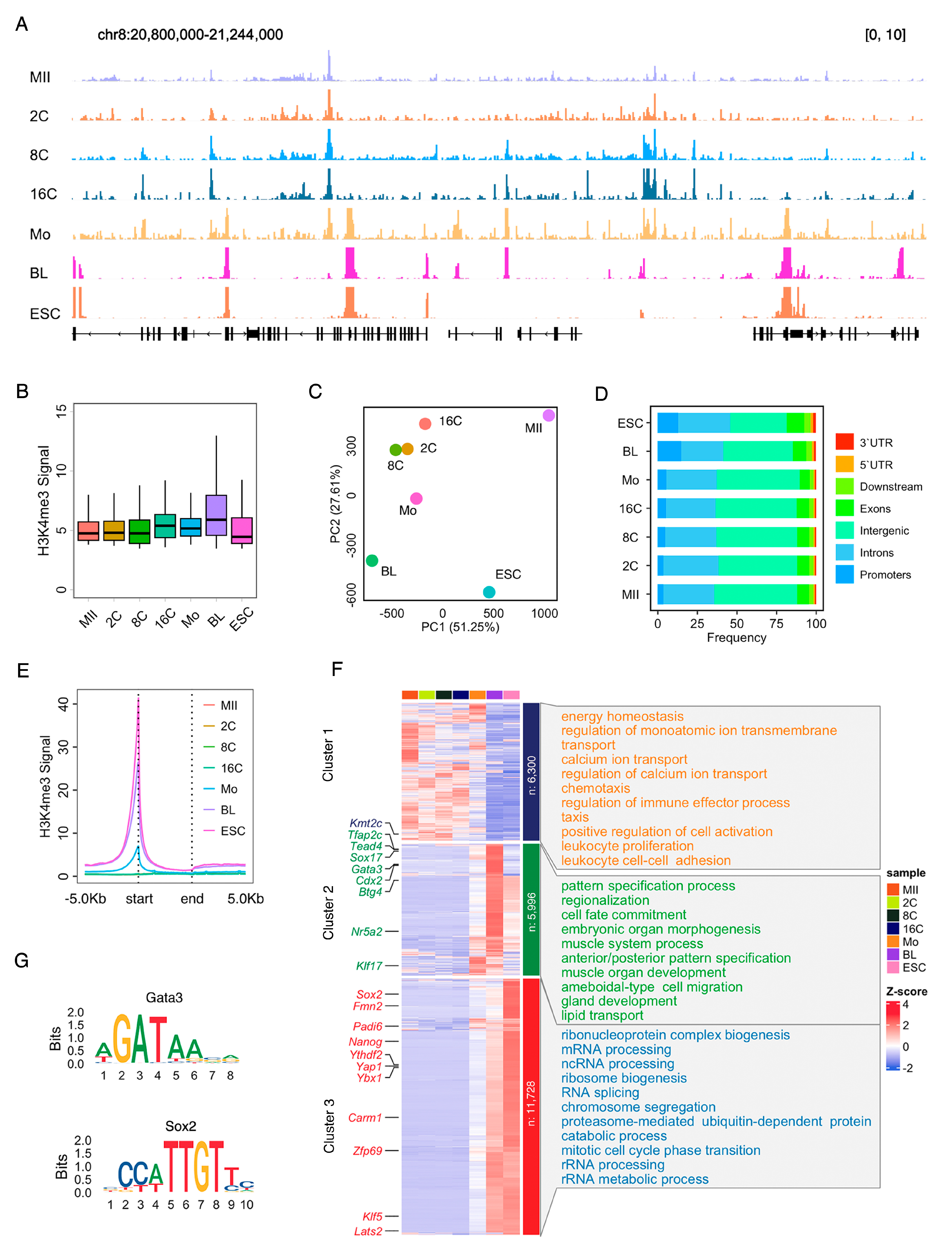H3K4me3 Genome-Wide Distribution and Transcriptional