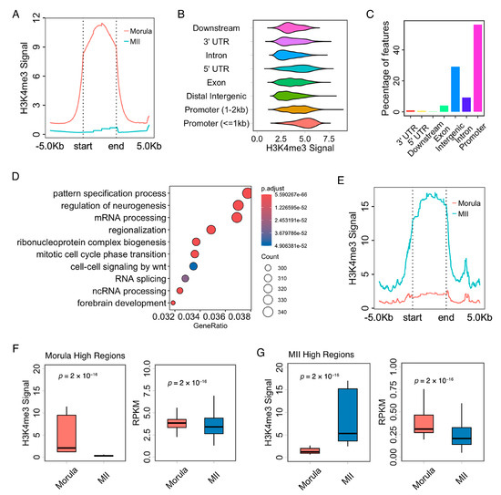 H3K4me3 Genome-Wide Distribution and Transcriptional