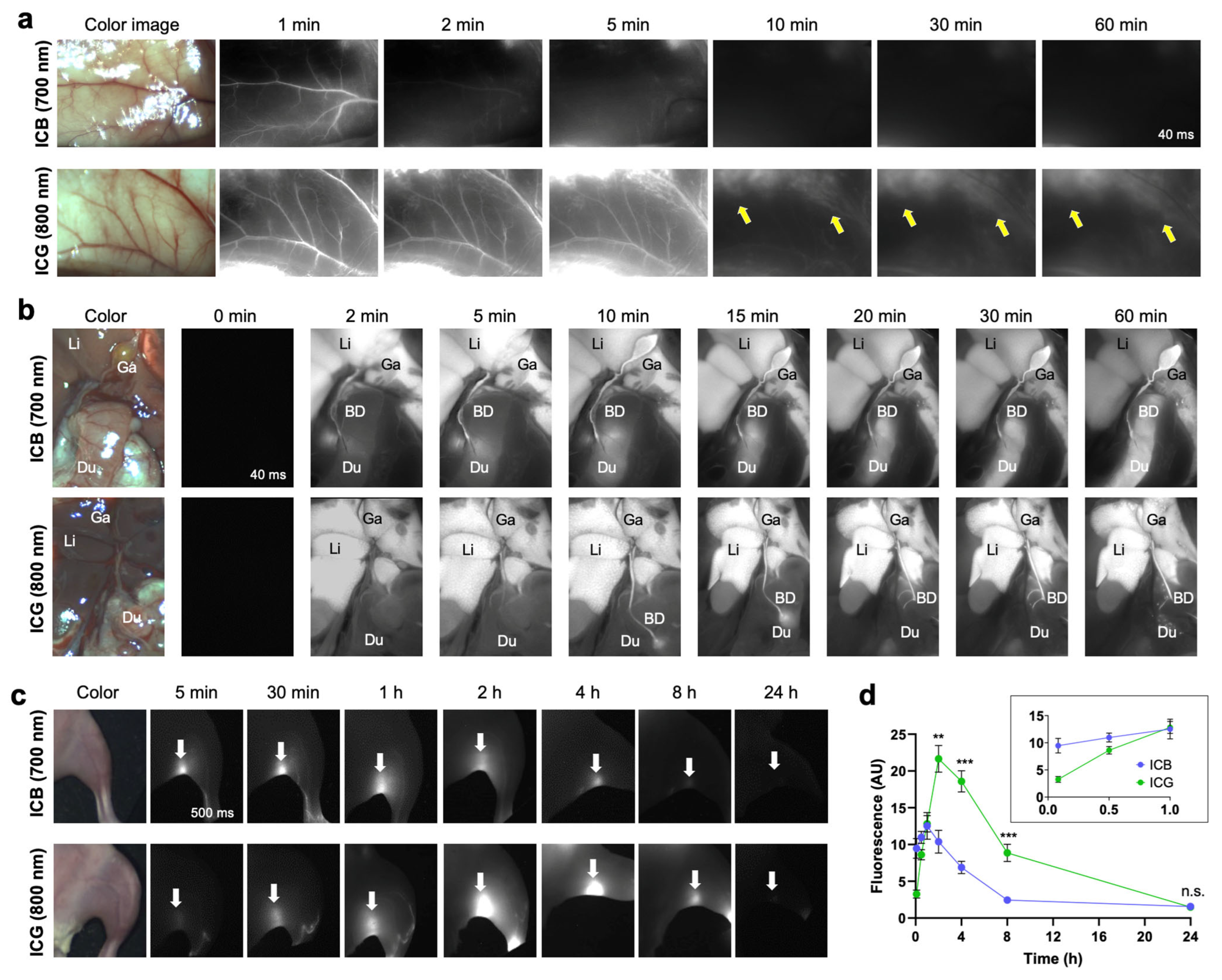 Ijms 25 13547 g003 Ijms 25 13547 g003