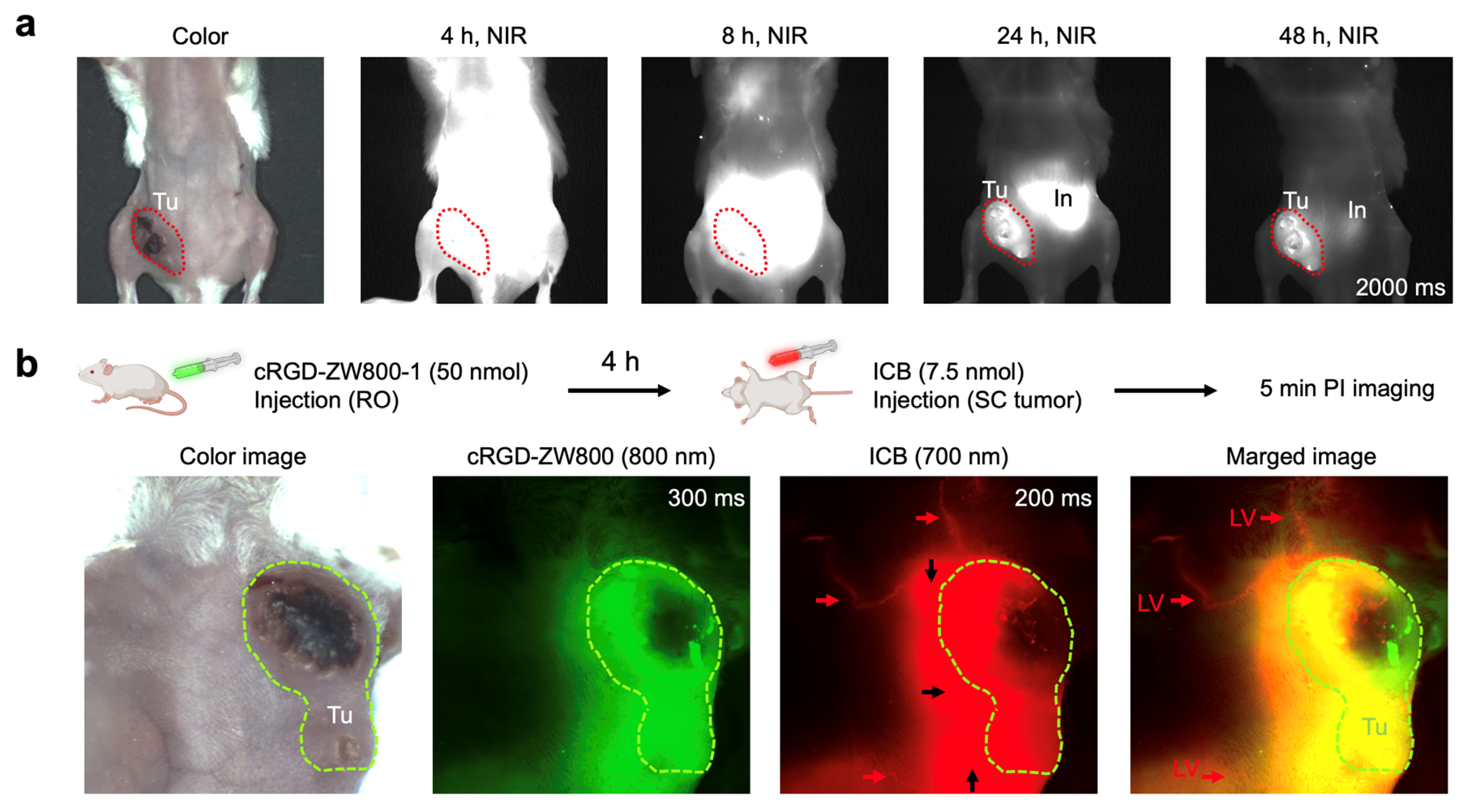 Ijms 25 13547 g004 Ijms 25 13547 g004