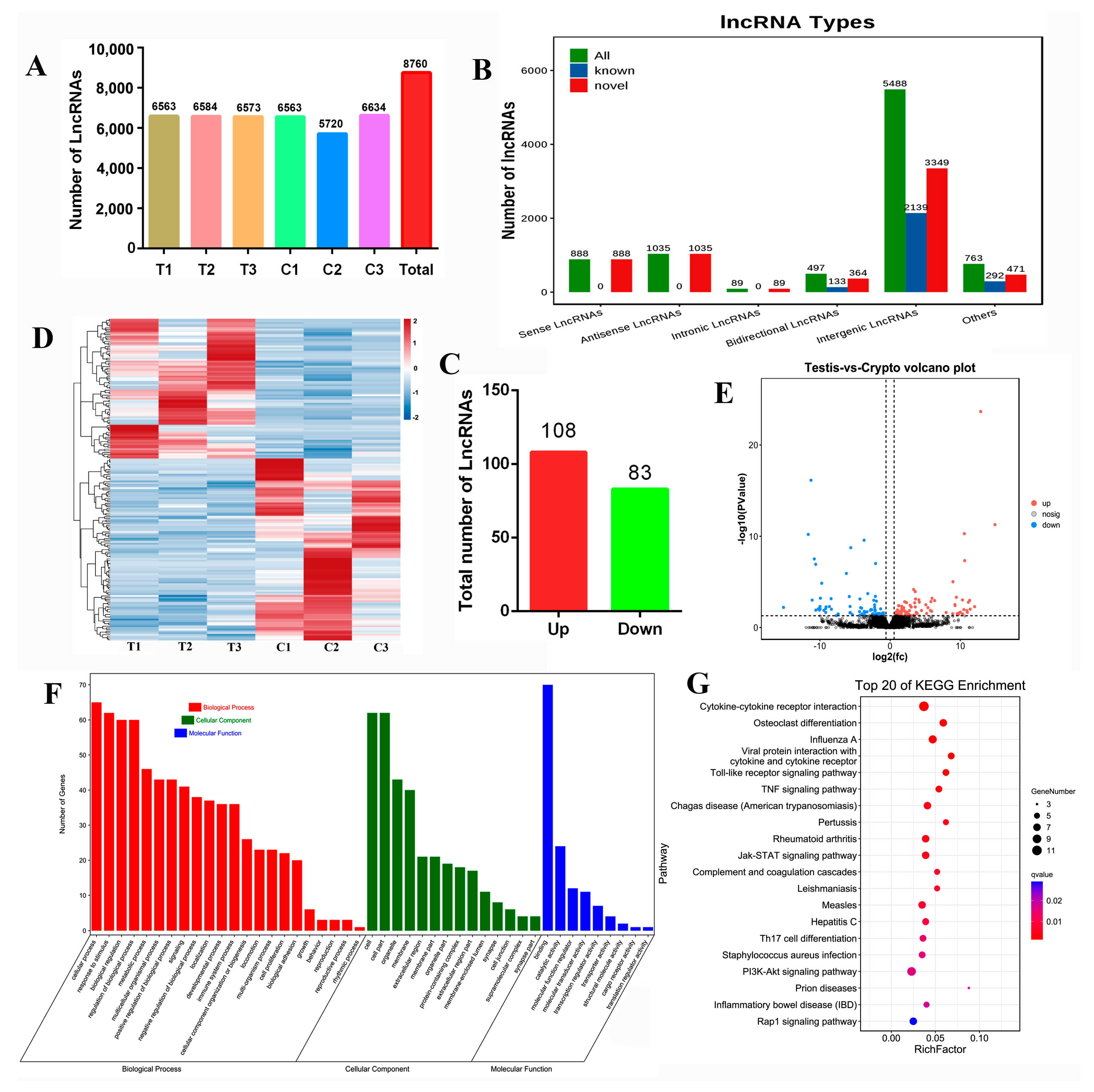 正規店仕入れの a as NTRK2 Targets LncRNA-MSTRG.19083.1 miR-429-y to Sponge スーツ・フォーマル・ドレス