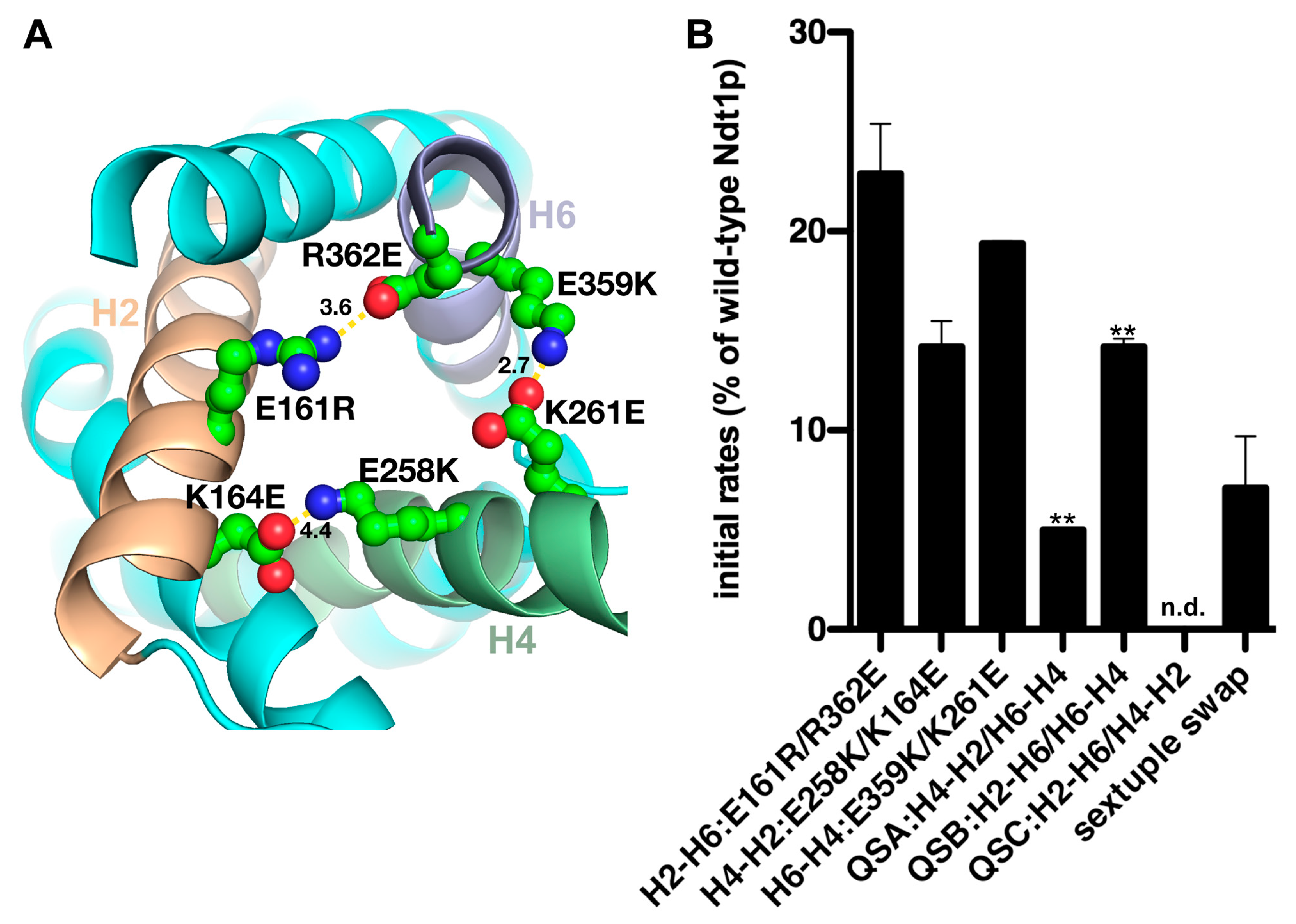 Ijms 25 13557 g002 Ijms 25 13557 g002