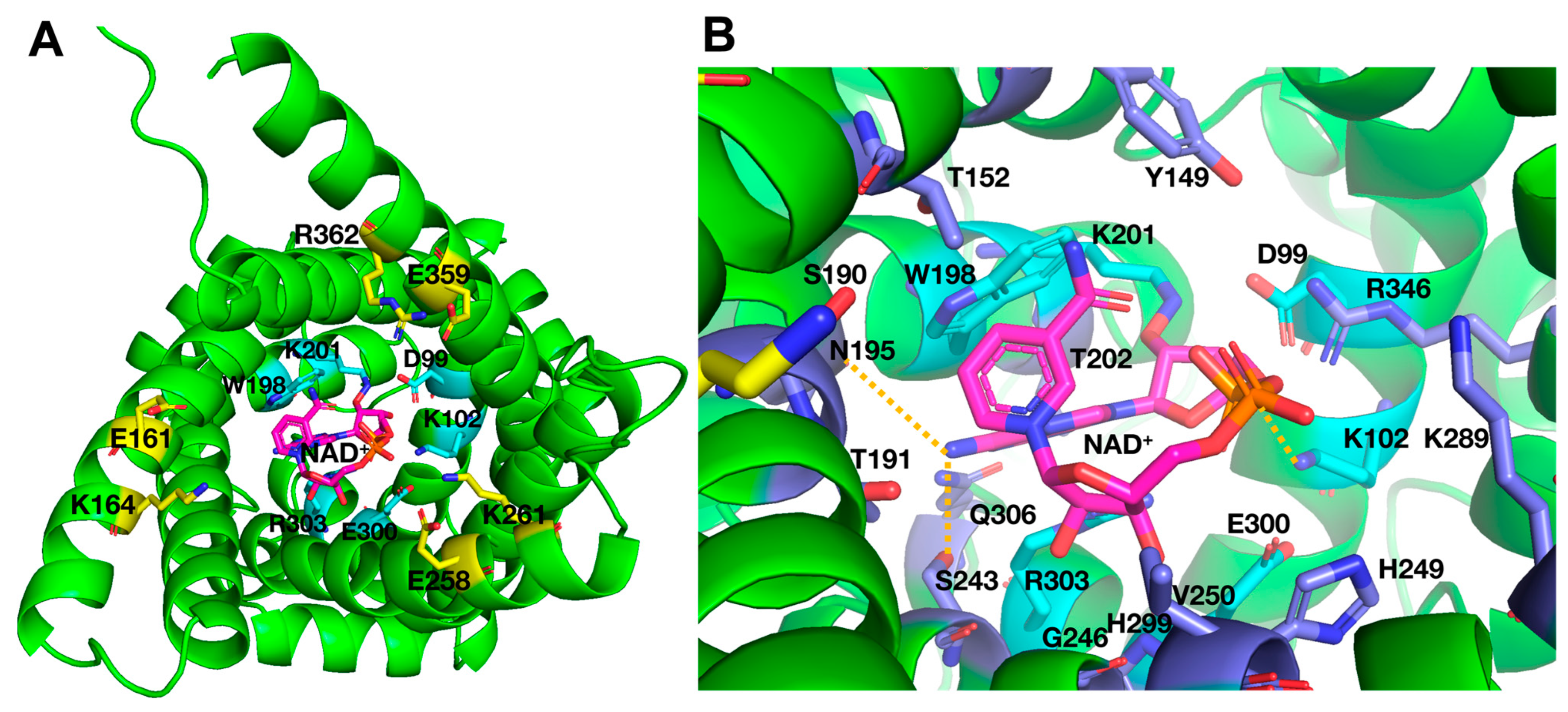 Ijms 25 13557 g003 Ijms 25 13557 g003