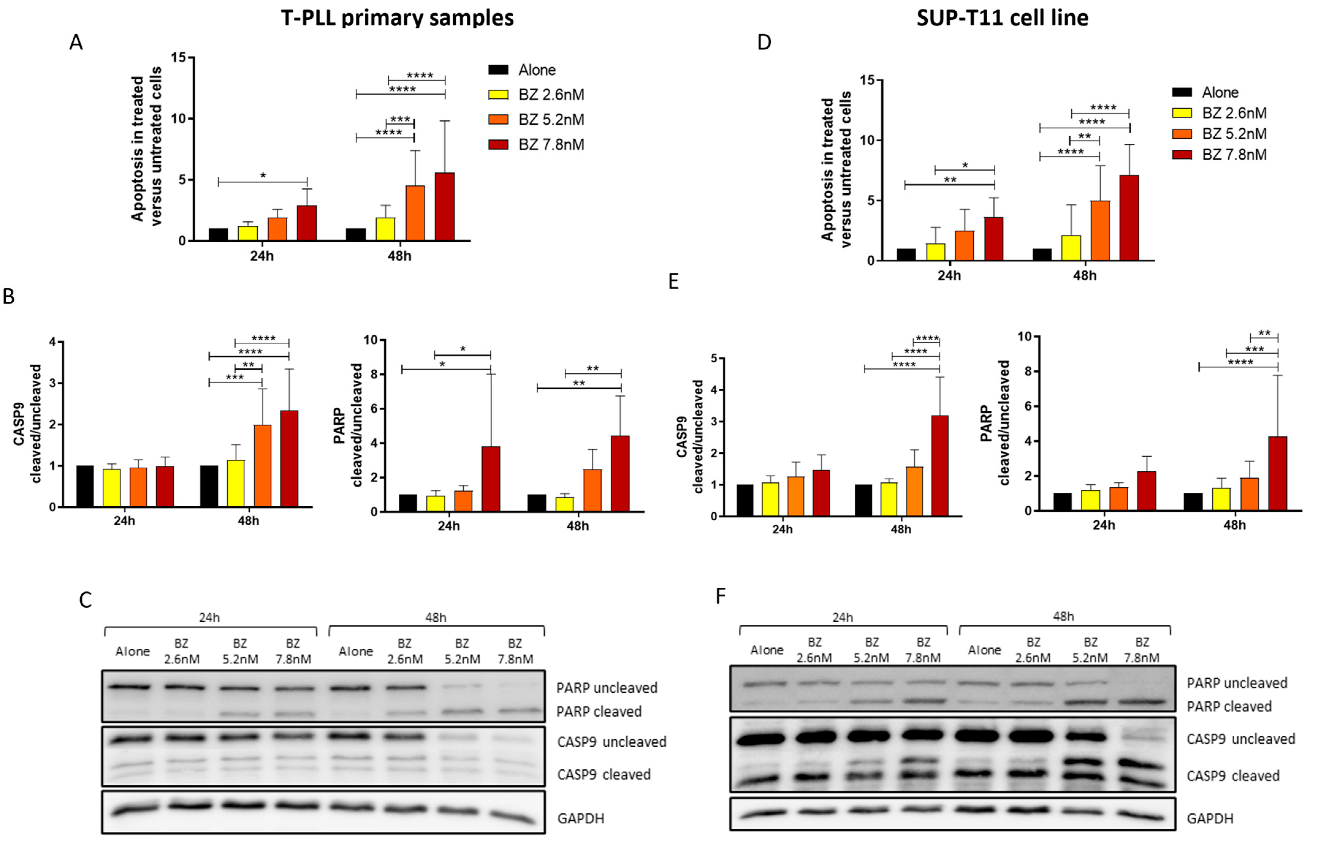 Ijms 25 13573 g002 Ijms 25 13573 g002