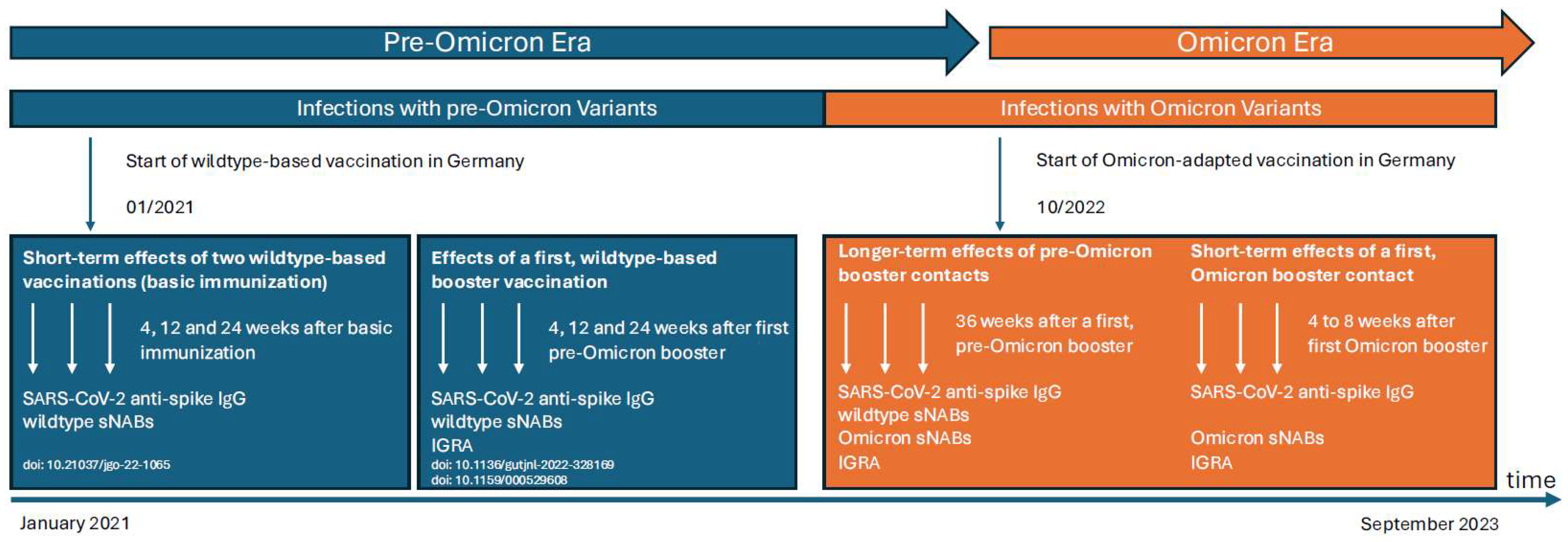 Ijms 25 13613 g004 Ijms 25 13613 g004
