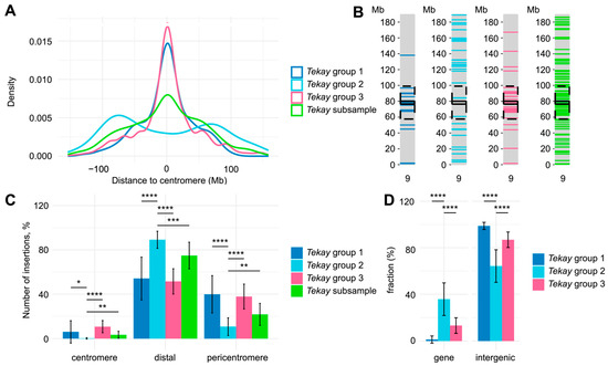 Comparative Analysis of Active LTR Retrotransposons in