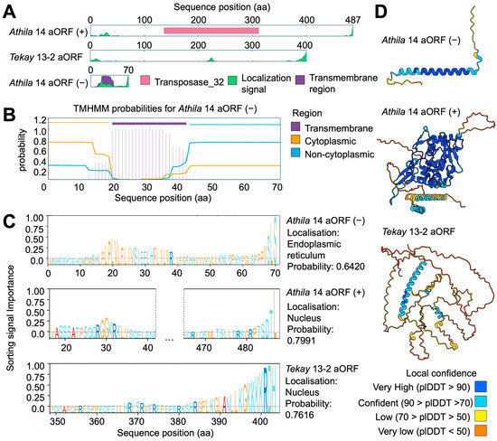 Comparative Analysis of Active LTR Retrotransposons in