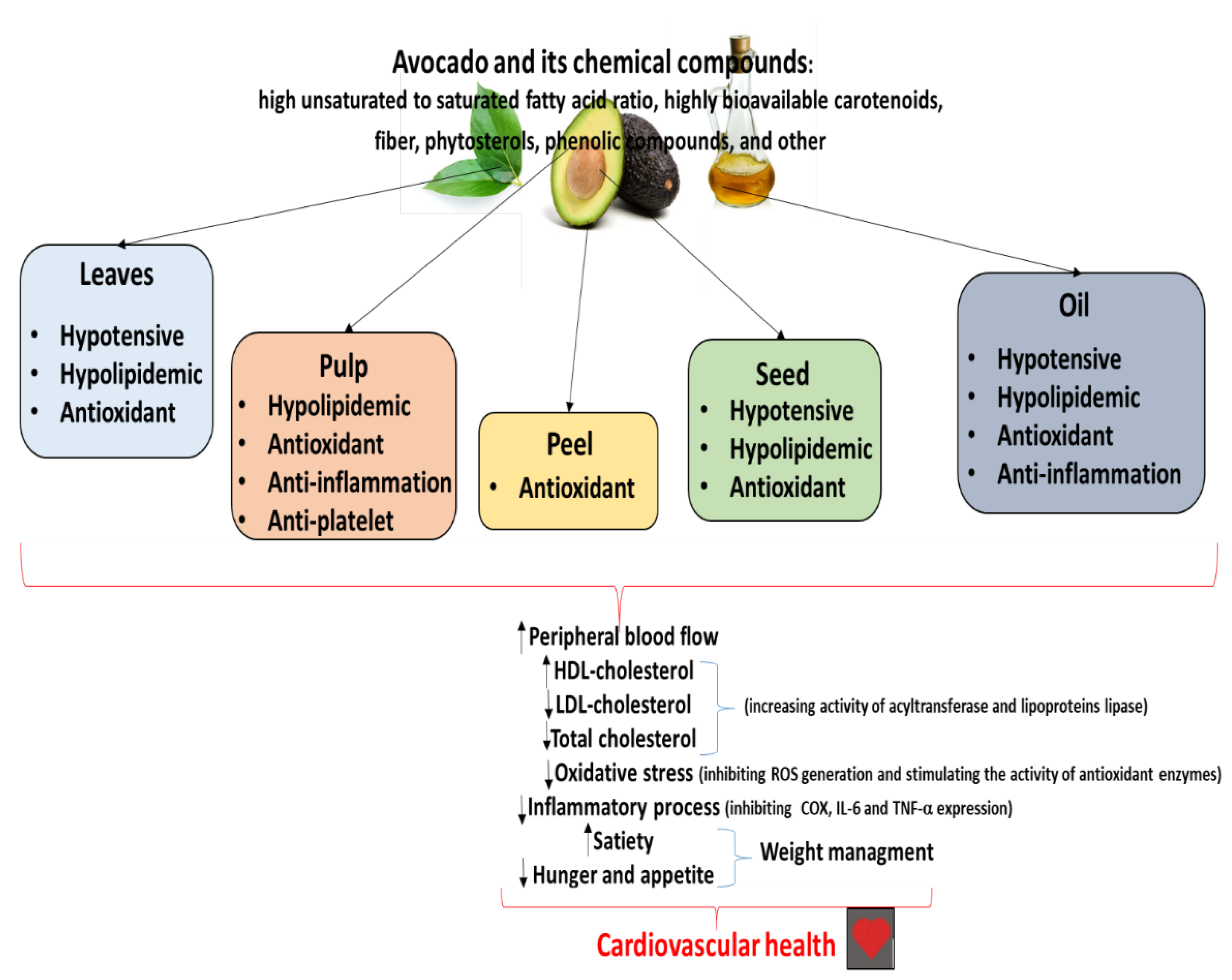 Ijms 25 13622 g002 Ijms 25 13622 g002