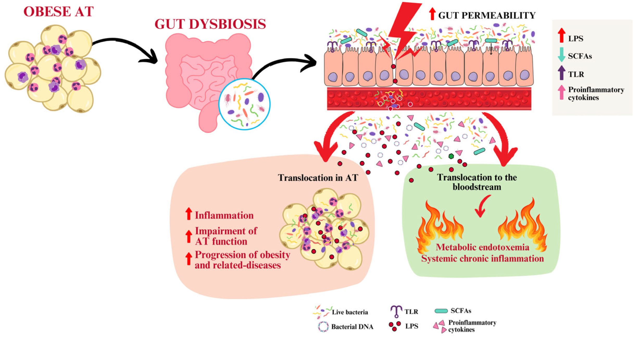 Ijms 25 13633 g002 Ijms 25 13633 g002