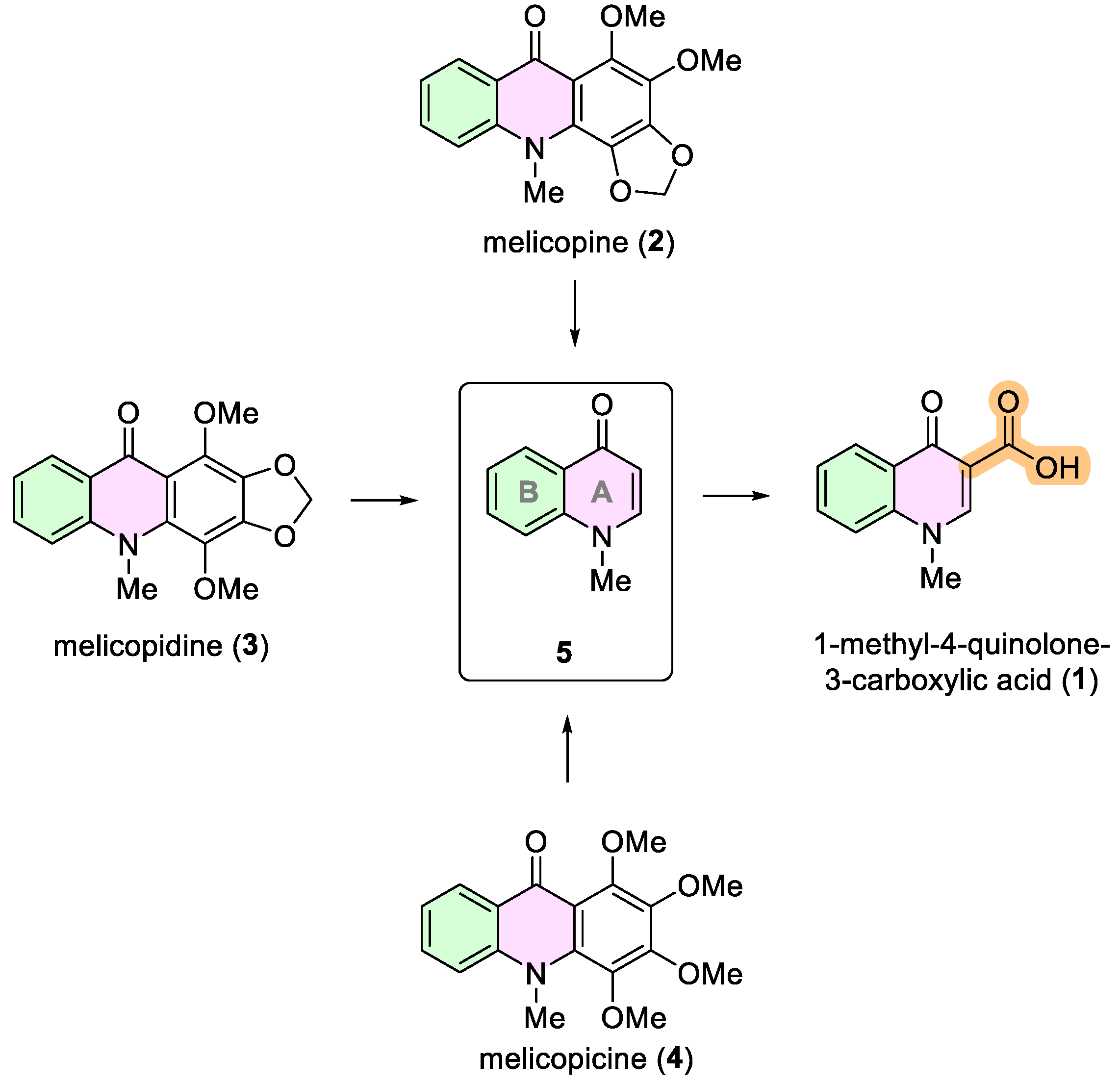 Ijms 25 13659 g001 Ijms 25 13659 g001