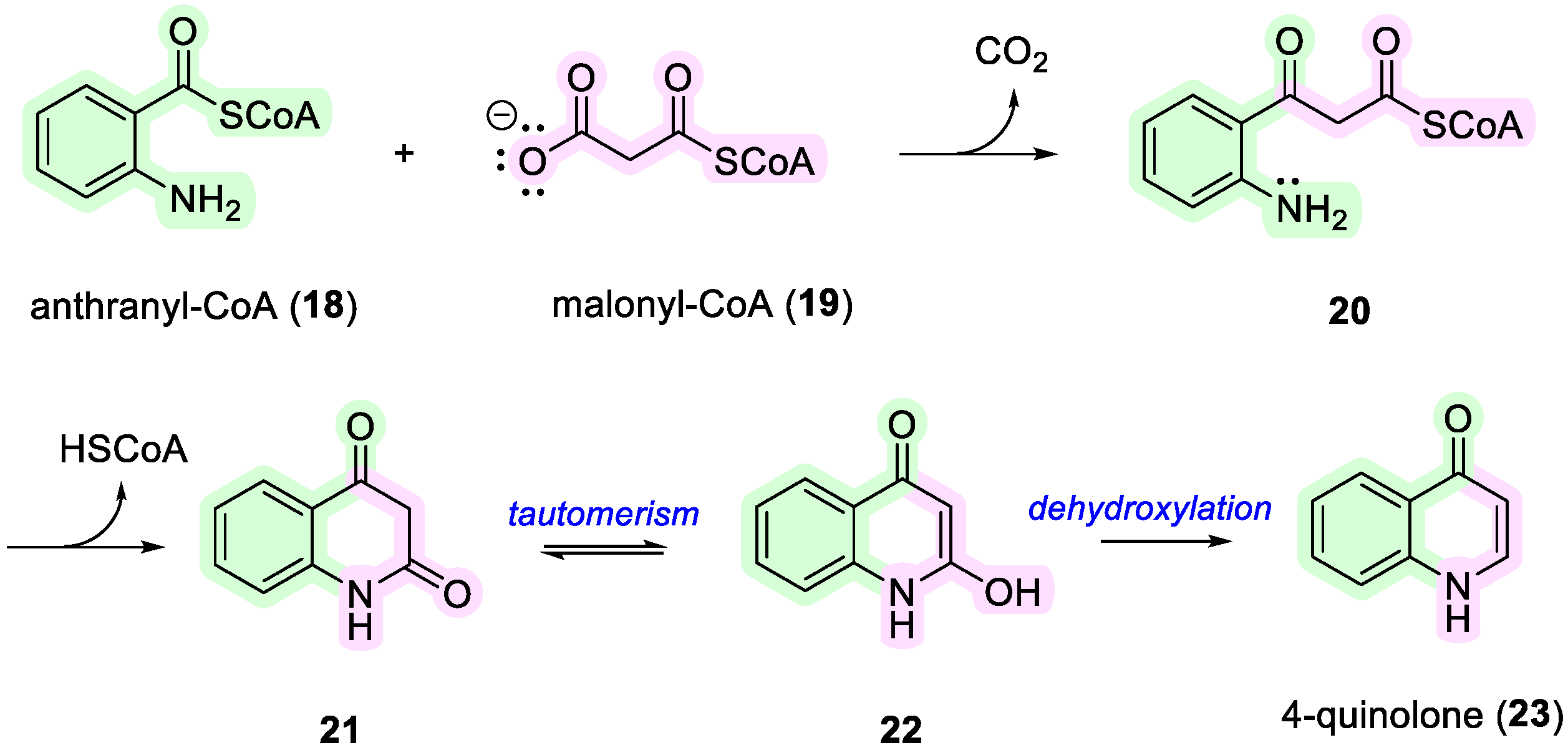 Ijms 25 13659 sch001 Ijms 25 13659 sch001