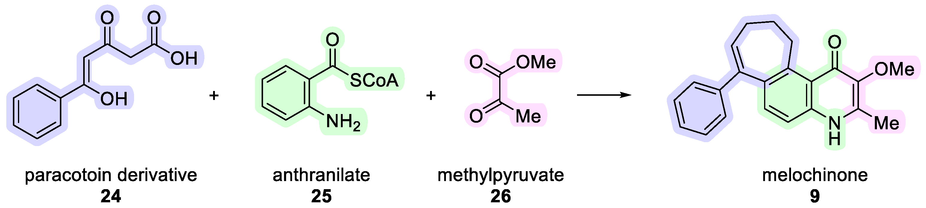 Ijms 25 13659 sch002 Ijms 25 13659 sch002