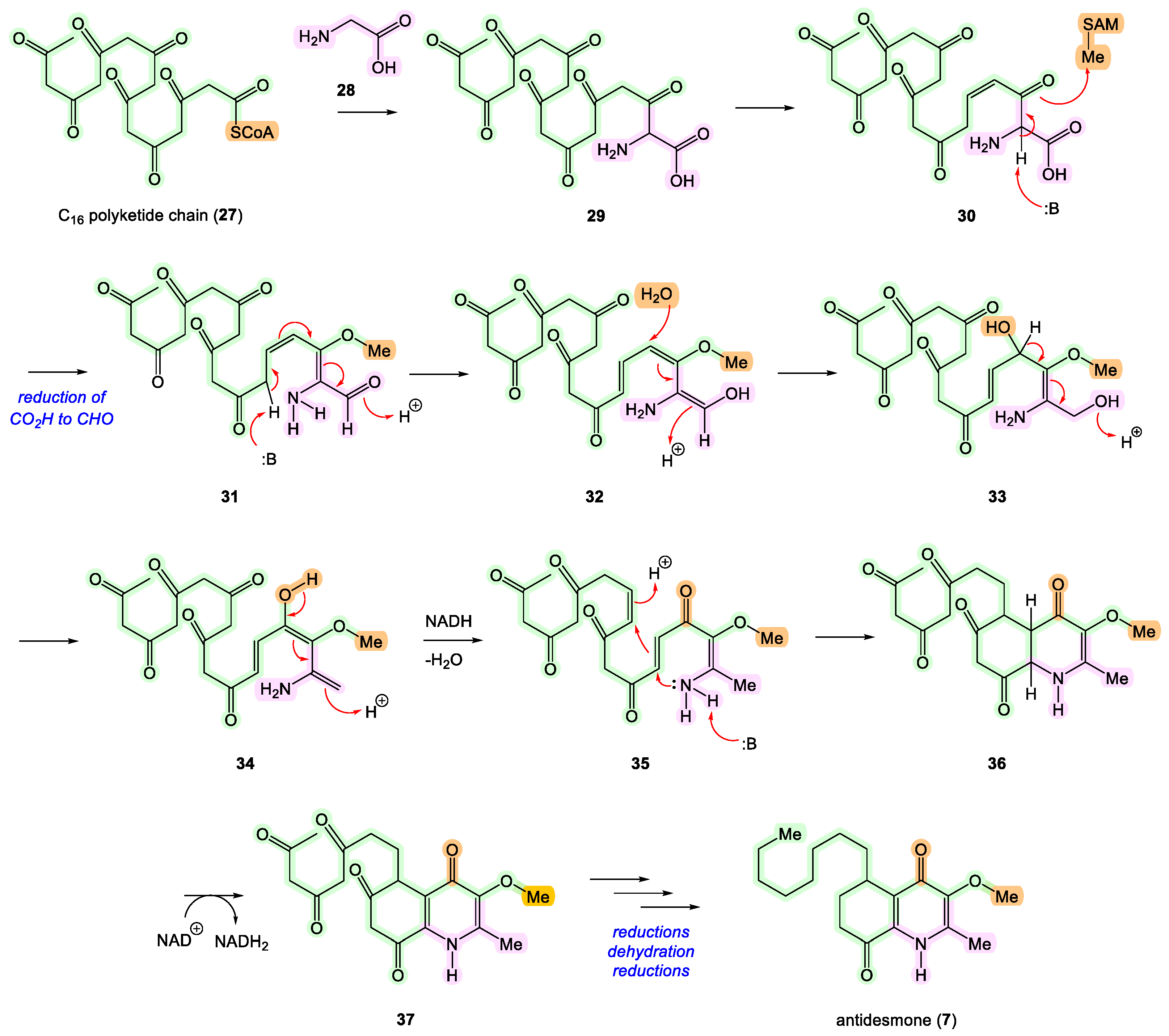 Ijms 25 13659 sch003 Ijms 25 13659 sch003