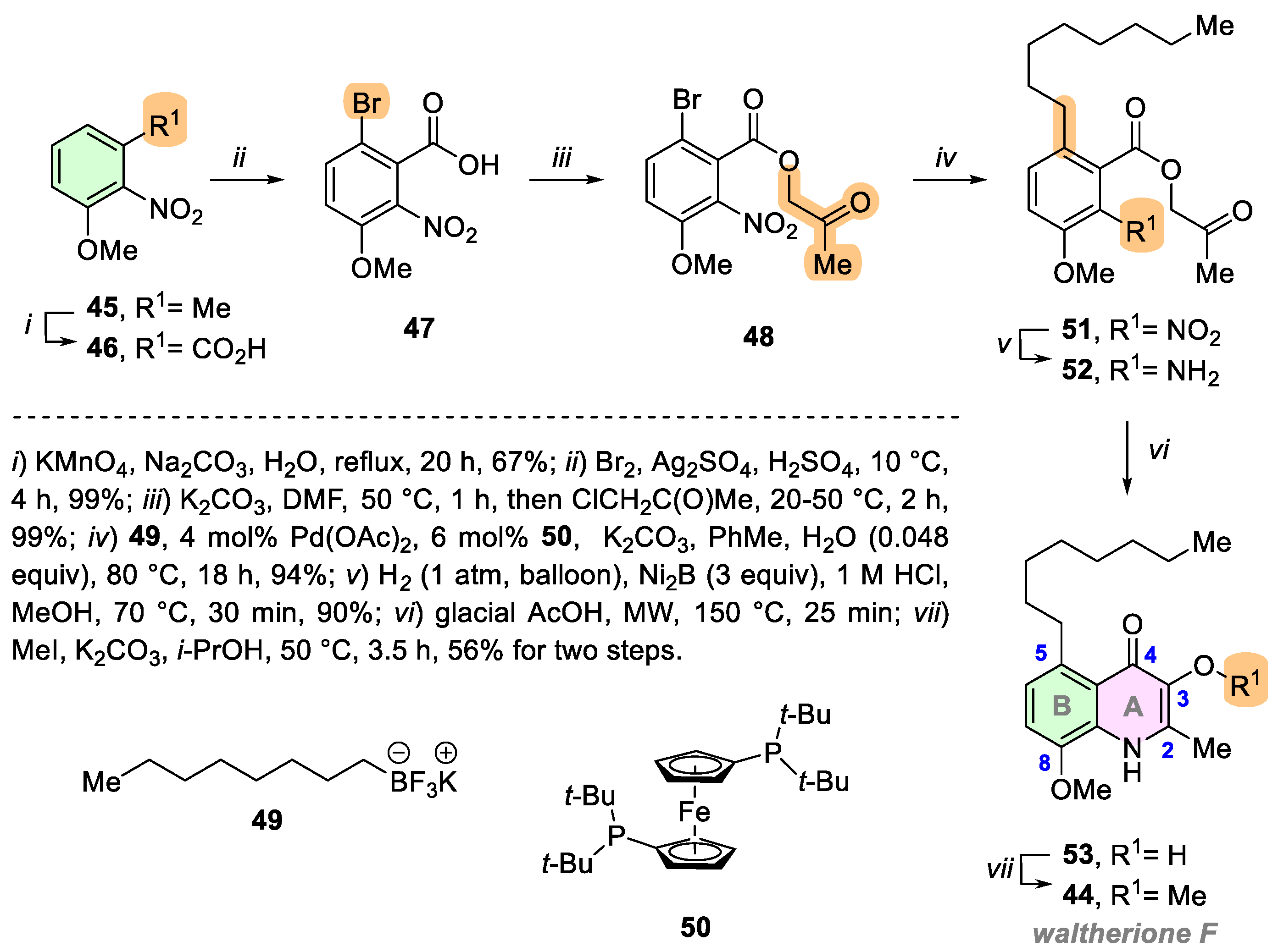Ijms 25 13659 sch005 Ijms 25 13659 sch005