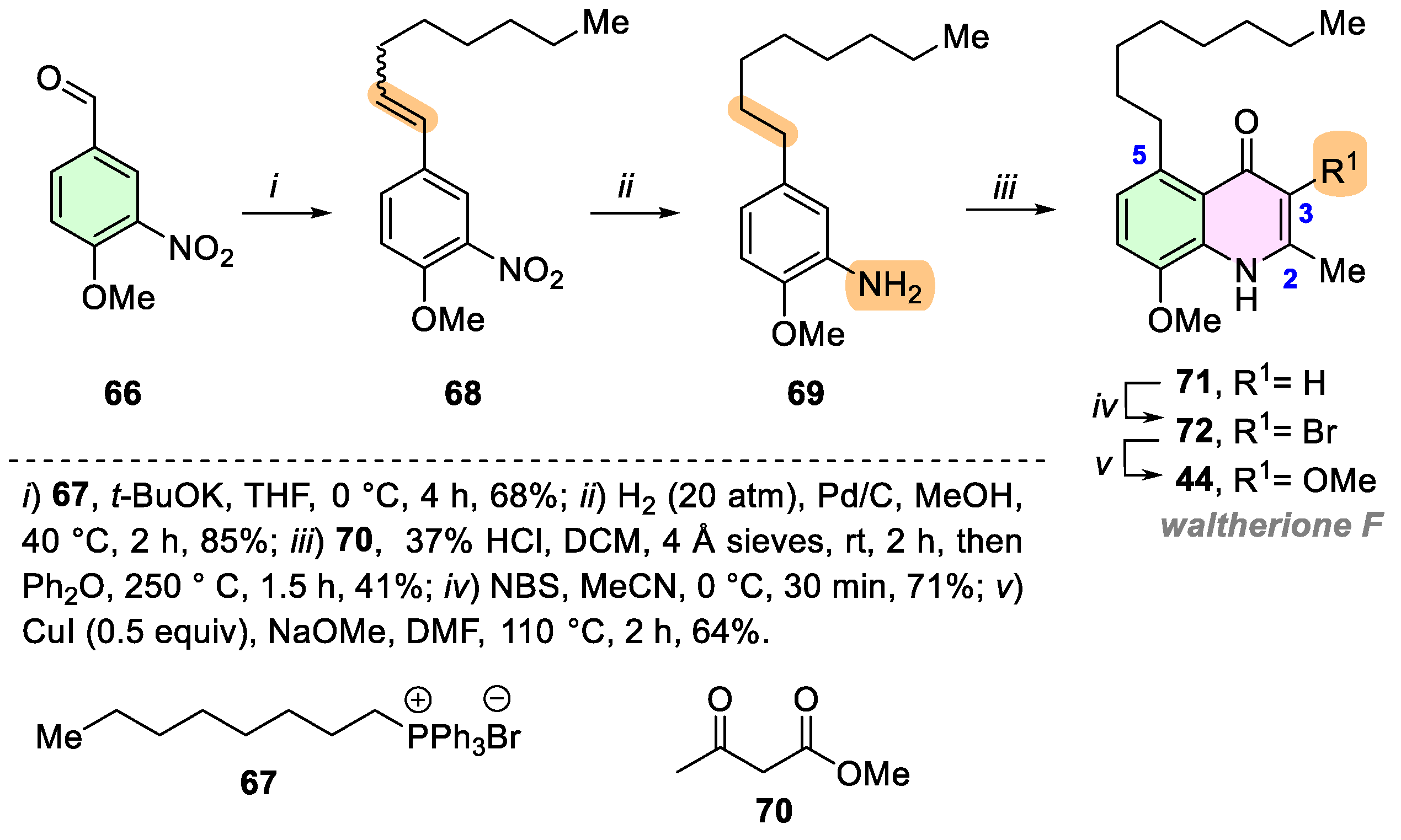 Ijms 25 13659 sch007 Ijms 25 13659 sch007