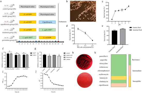 Lactobacillus agilis SNF7 Presents Excellent Antibacteria Lactobacillus agilis SNF7 Presents Excellent Antibacteria