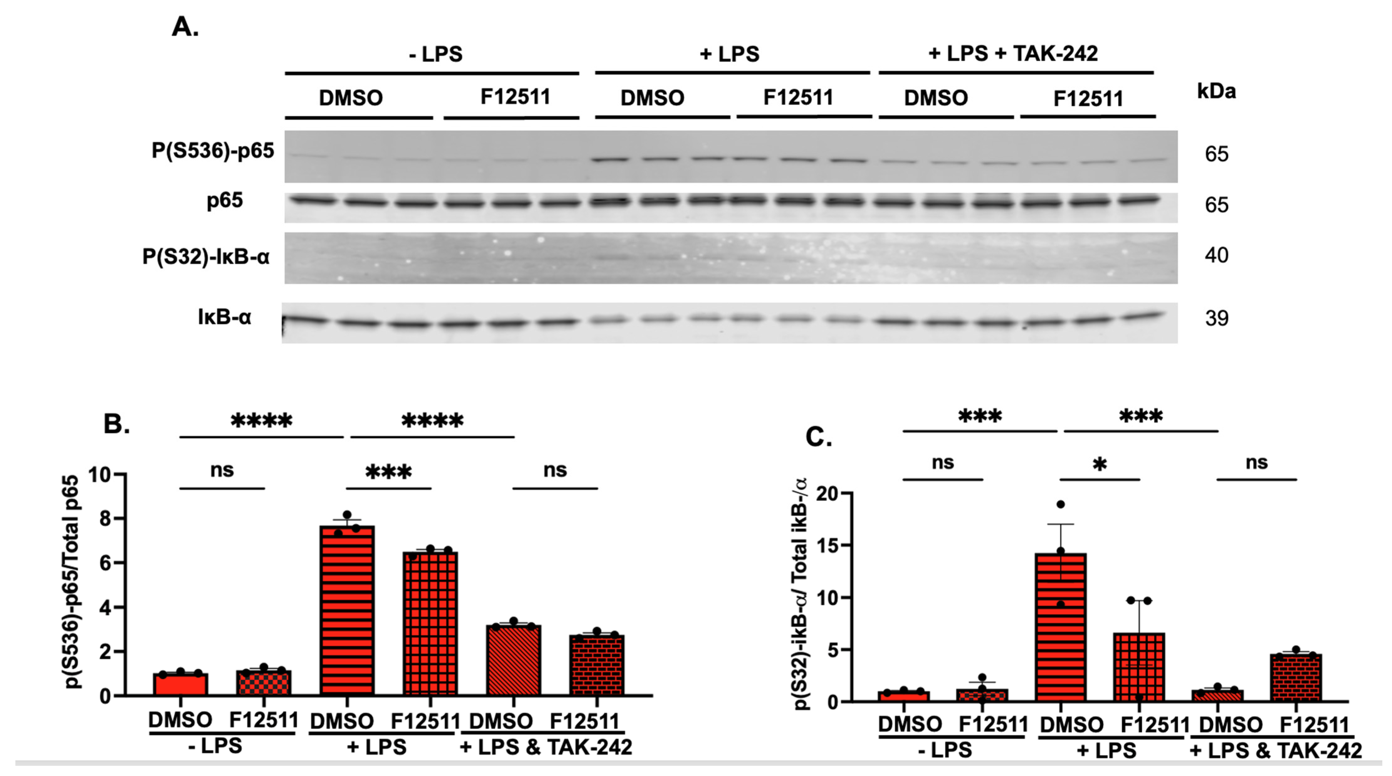 Ijms 25 13690 g002 Ijms 25 13690 g002