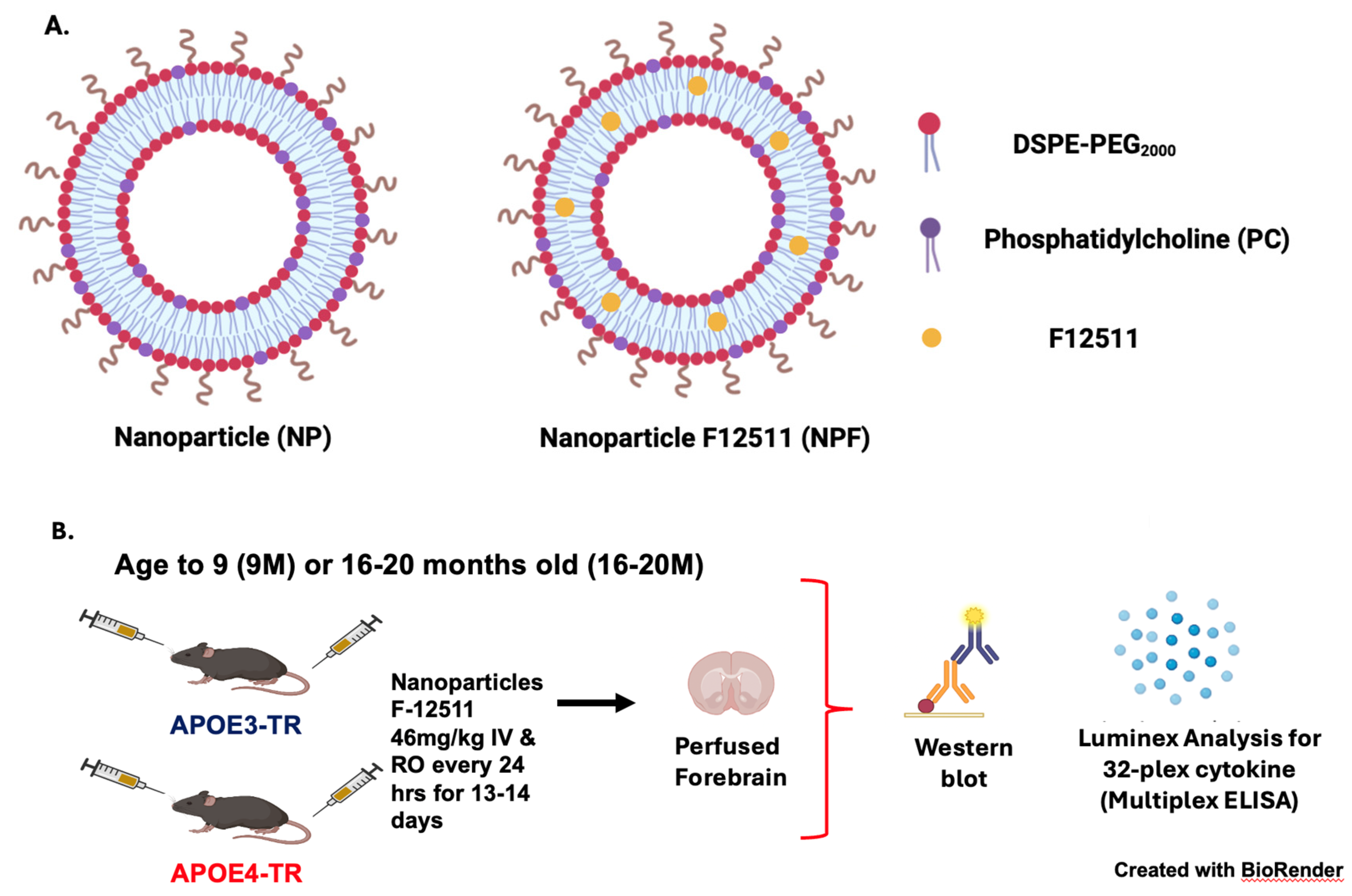Ijms 25 13690 g003 Ijms 25 13690 g003