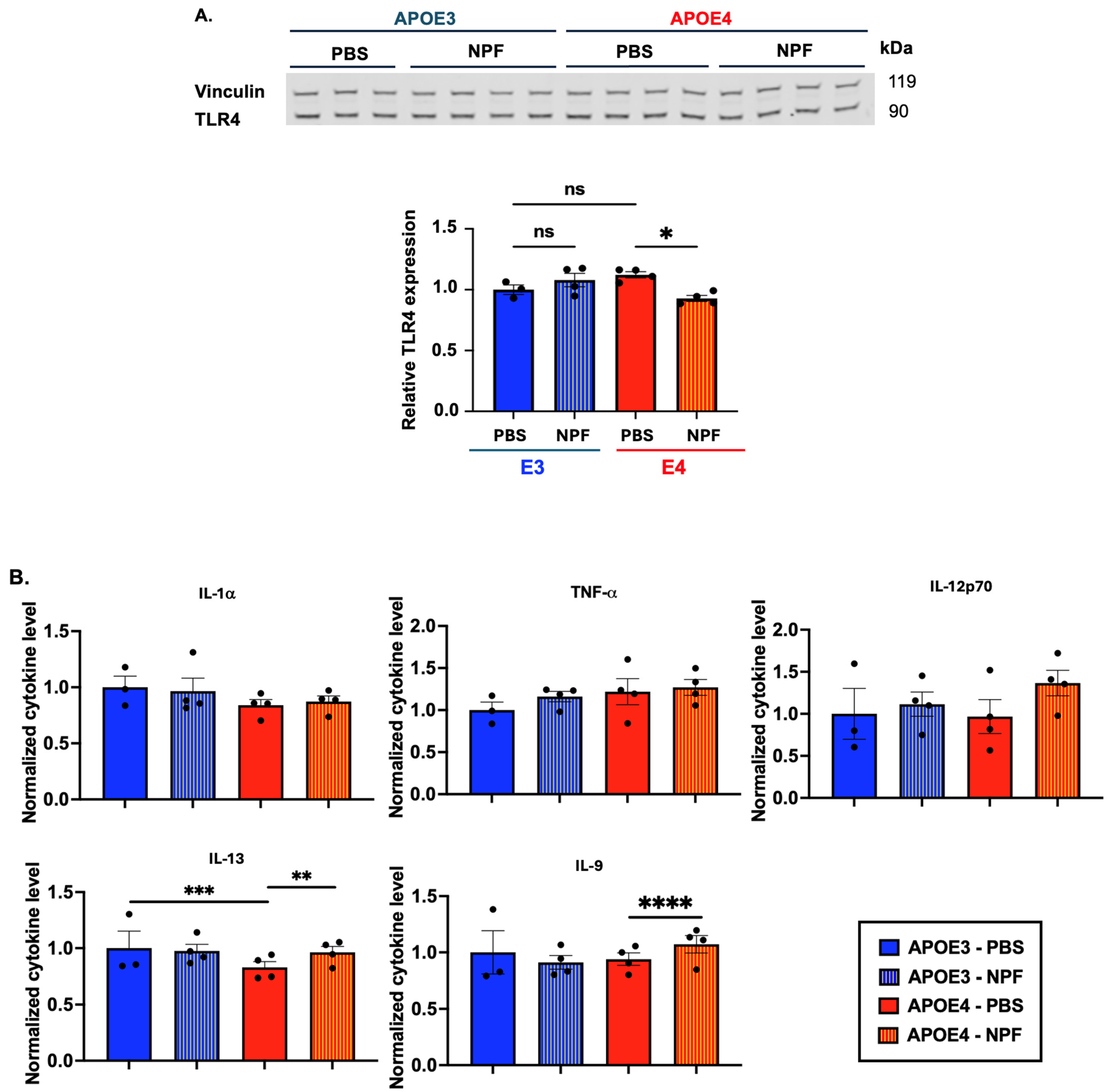 Ijms 25 13690 g004 Ijms 25 13690 g004