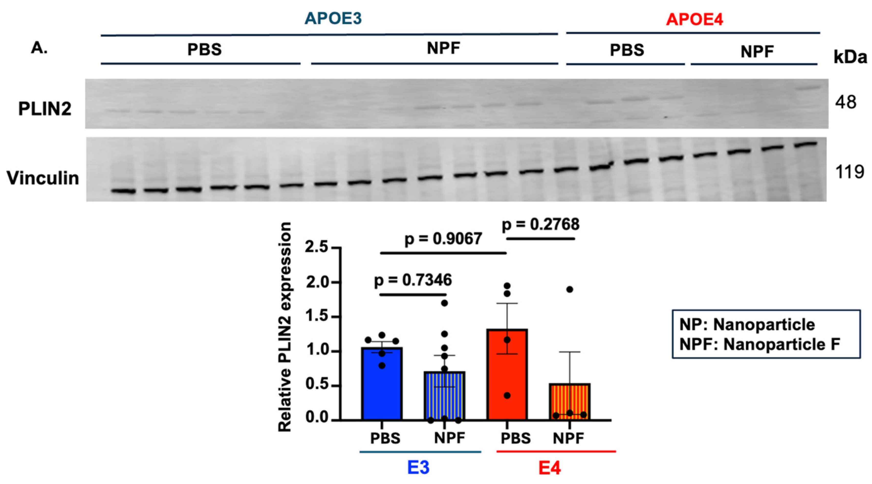 Ijms 25 13690 g005a Ijms 25 13690 g005a
