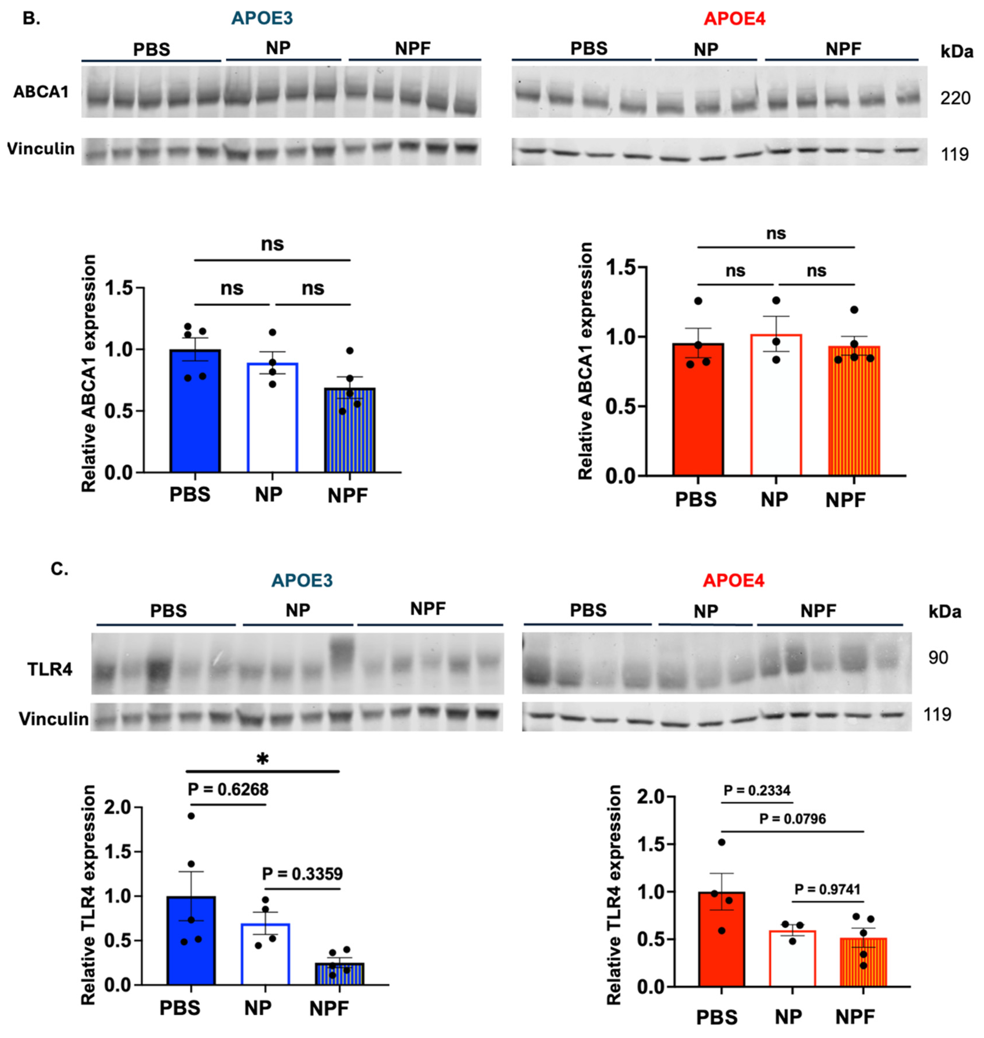 Ijms 25 13690 g005b Ijms 25 13690 g005b
