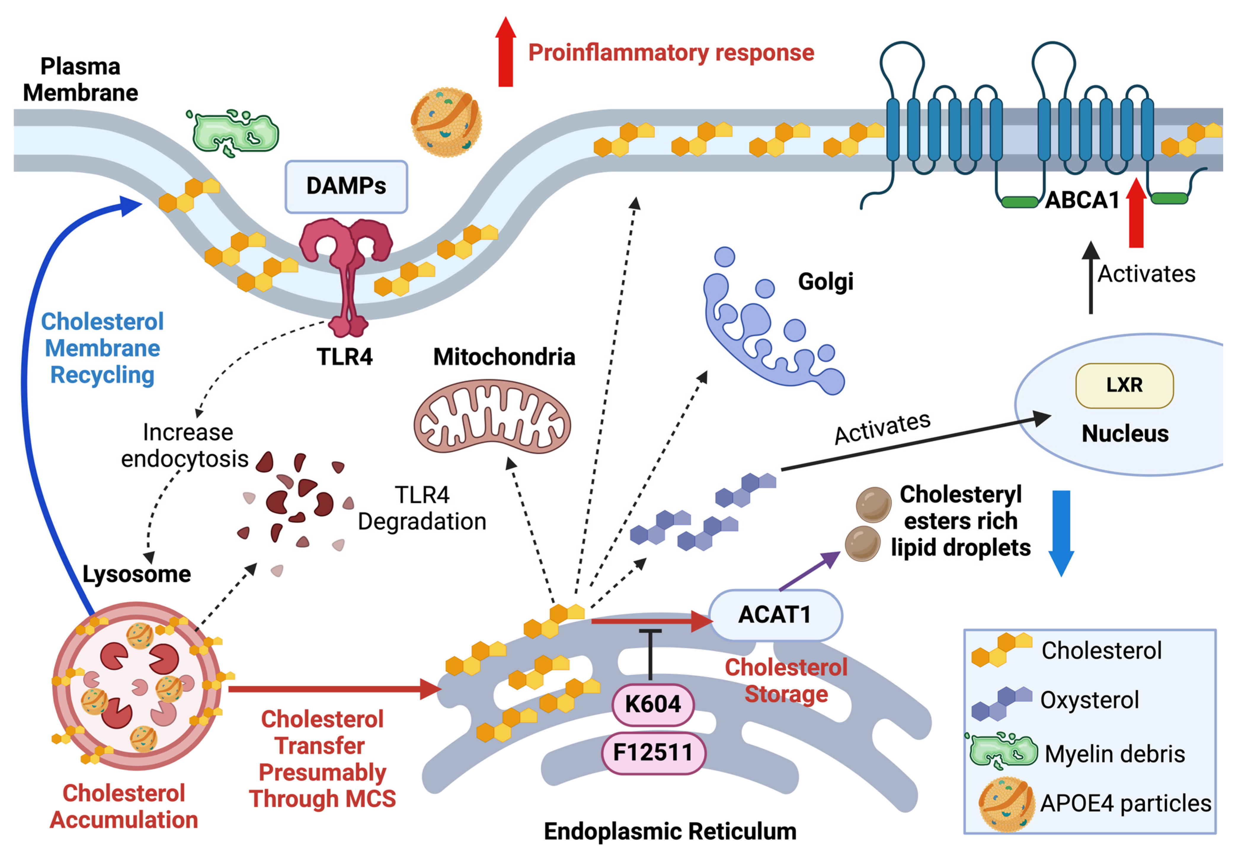 Ijms 25 13690 g006 Ijms 25 13690 g006