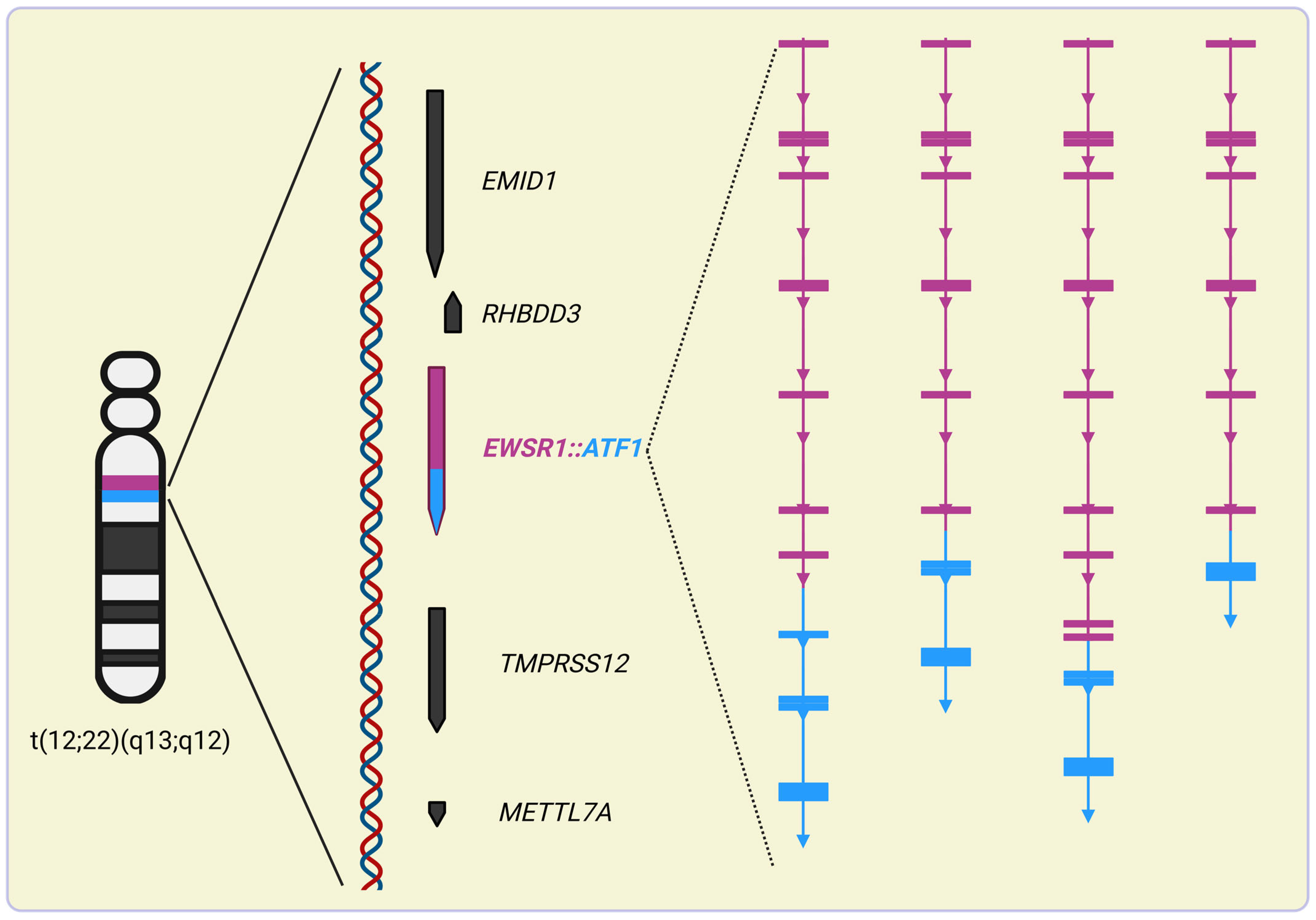 Ijms 25 13693 g004 Ijms 25 13693 g004