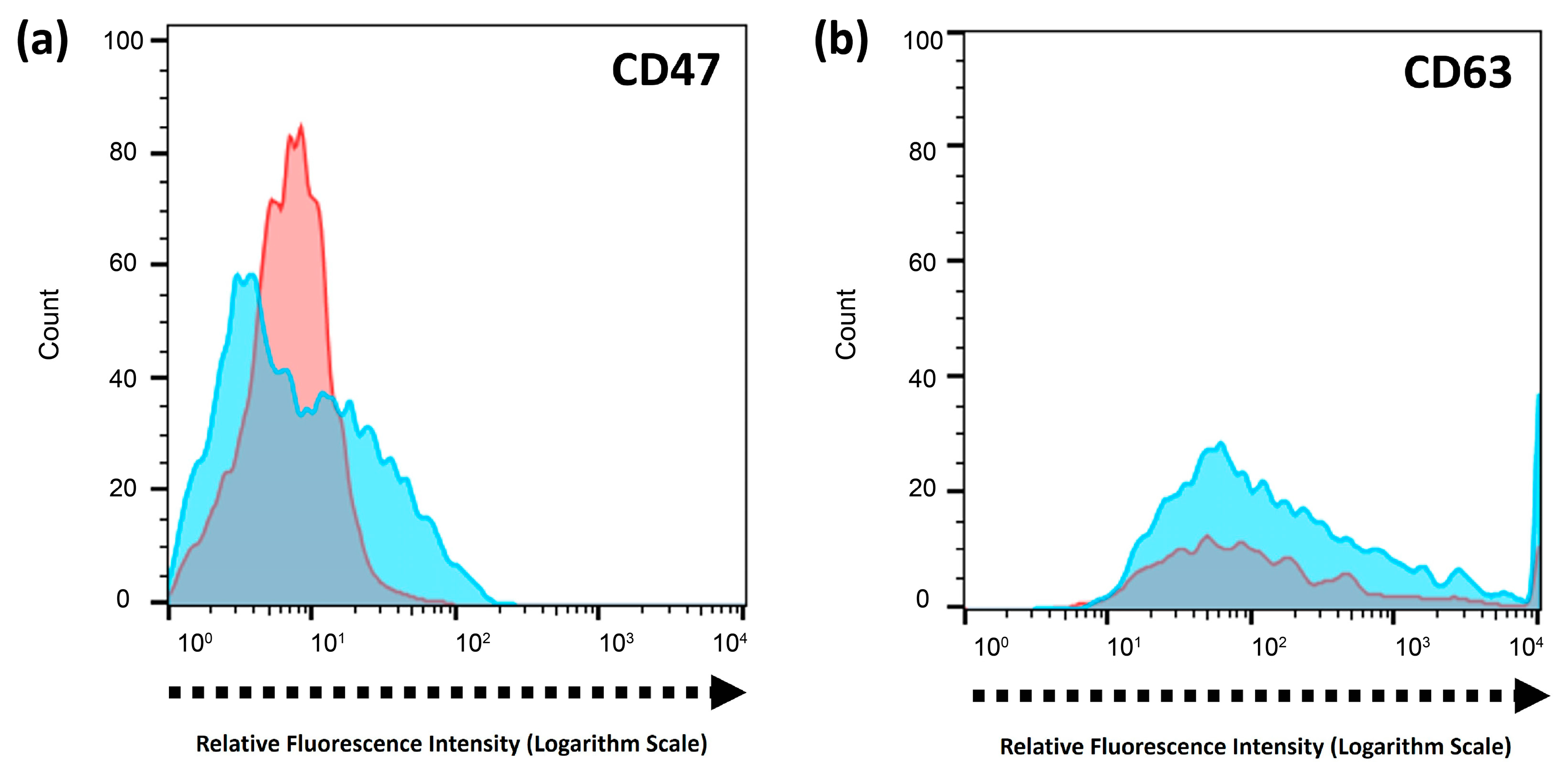 Ijms 25 13724 g005 Ijms 25 13724 g005
