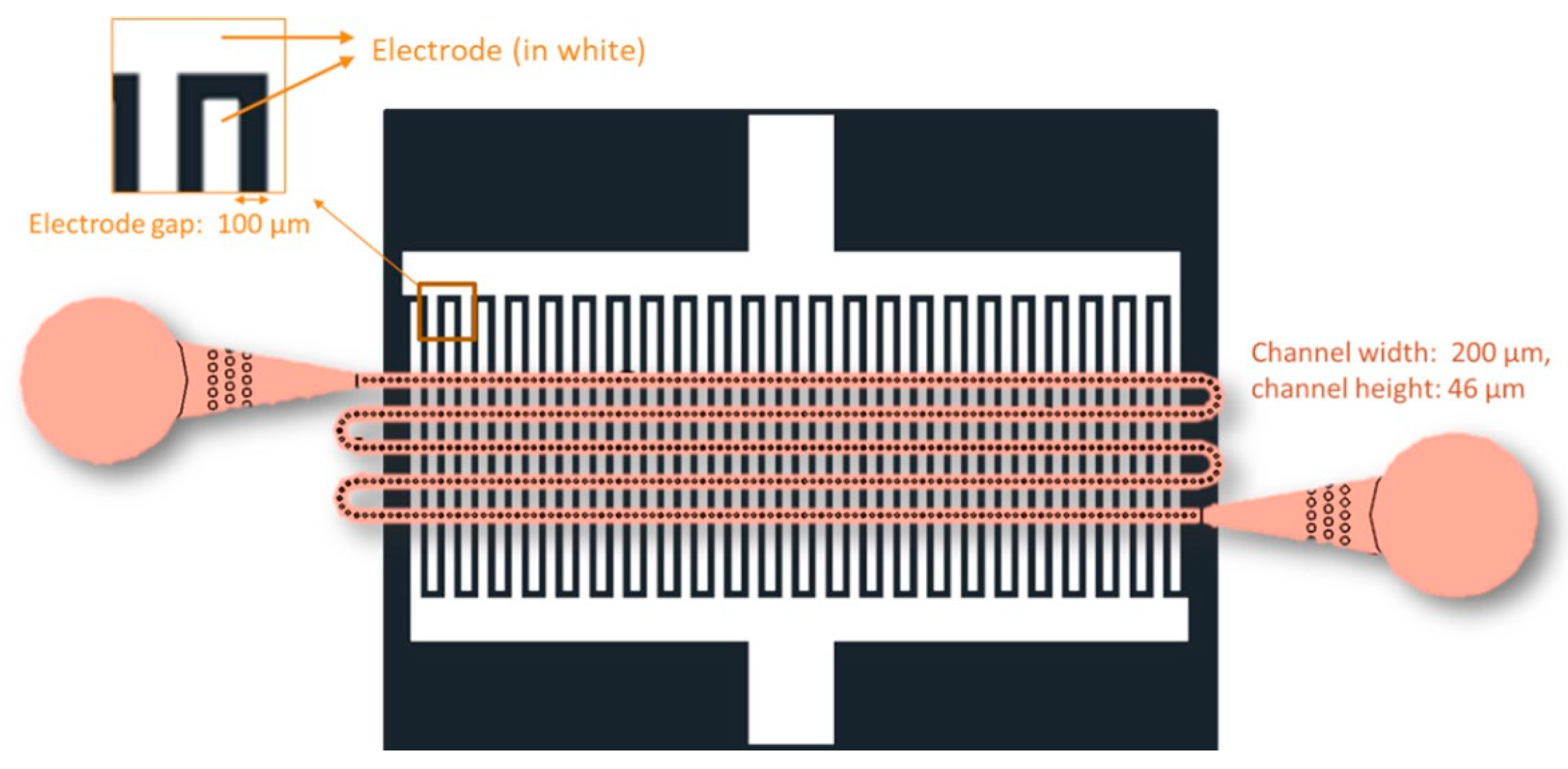 Ijms 25 13724 g010 Ijms 25 13724 g010