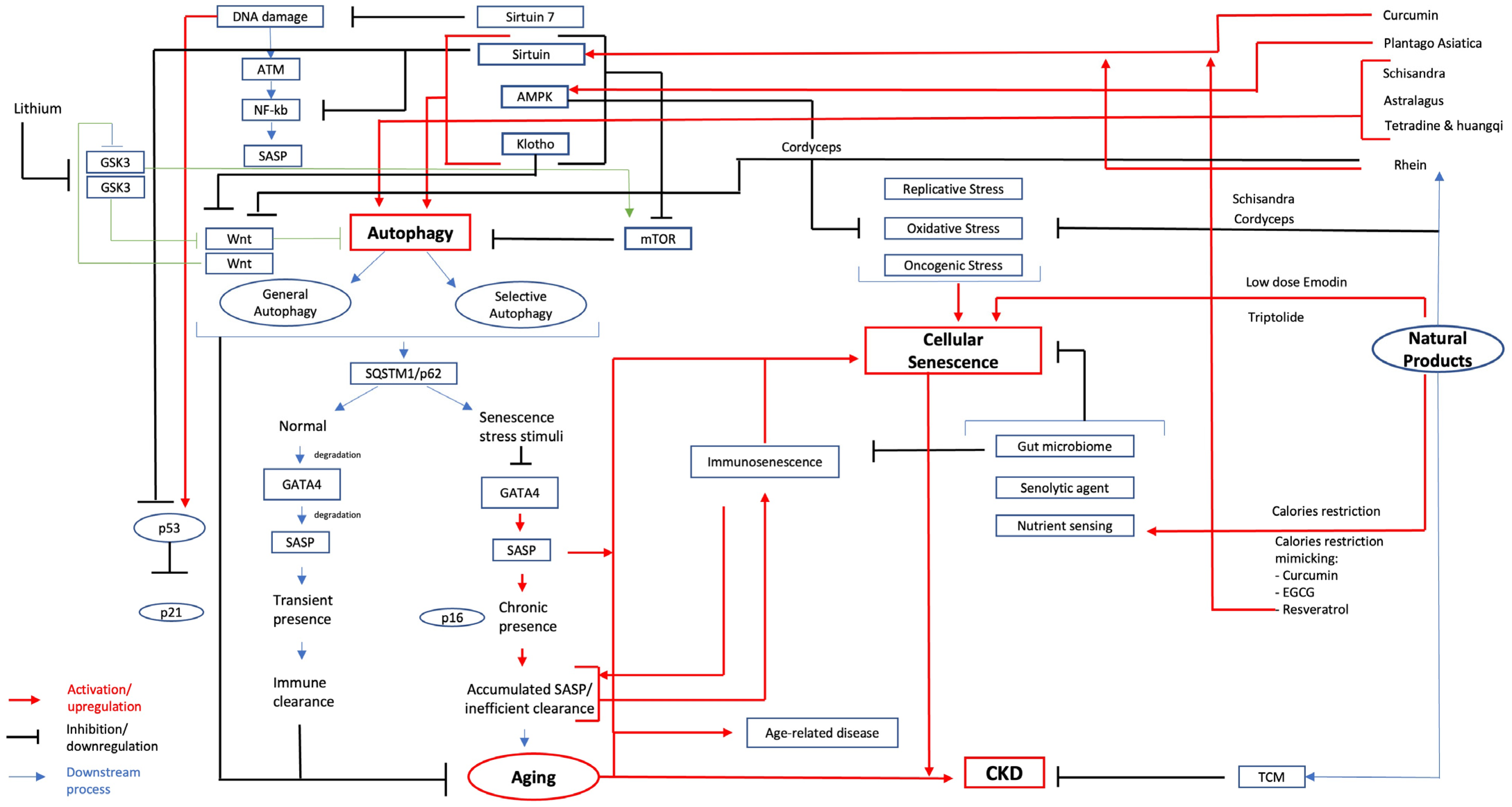 Ijms 26 00003 g002 Ijms 26 00003 g002